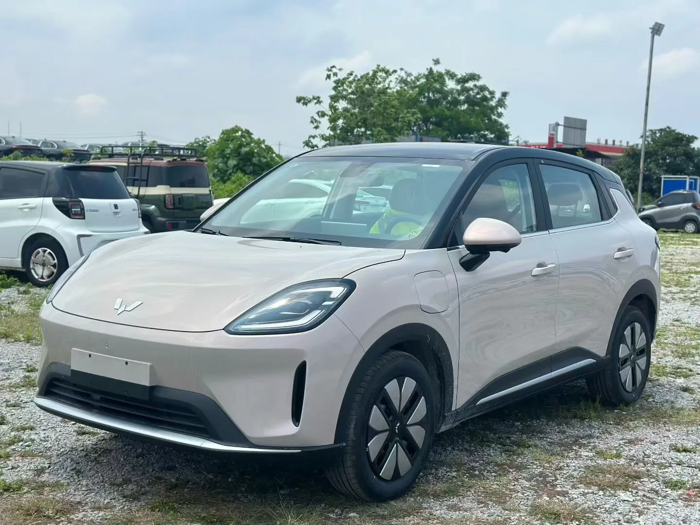 Bingo S 2025 Model 325km Premium Edition