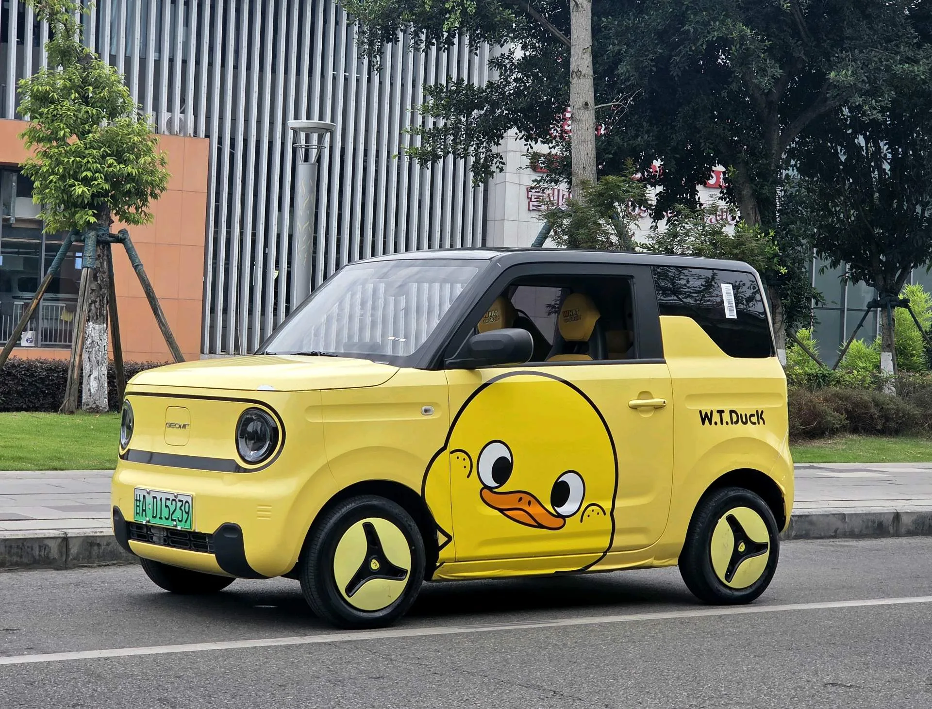 Panda 2023 Panda Mini 200km Endurance Bear