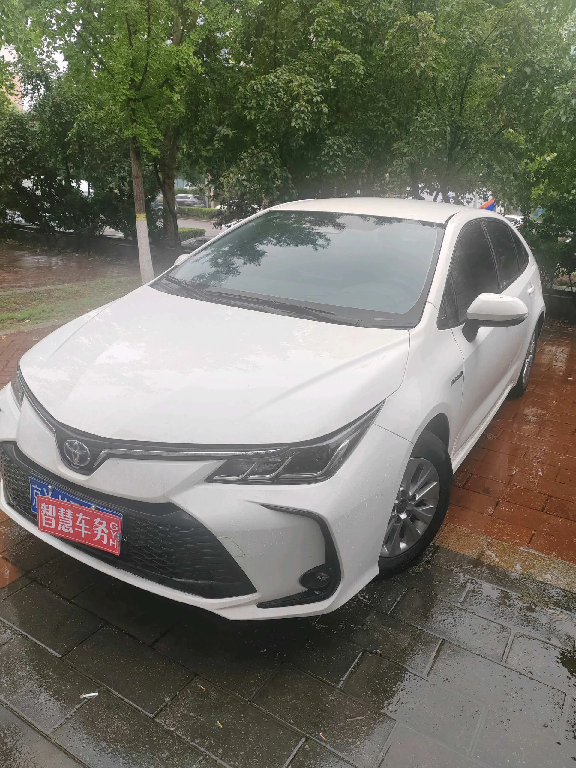 Toyota 2023 Corolla Hybrid 1.8 CVT Intelligent Electric Hybrid Pioneer Edition Automatic Transmission
