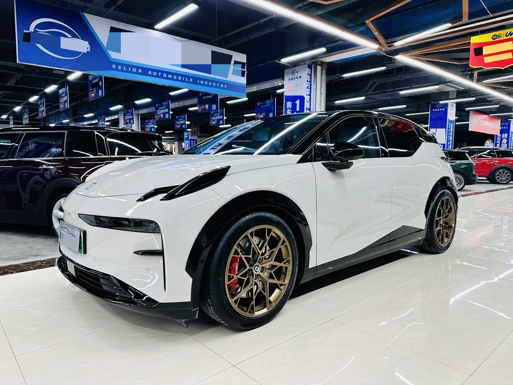 Extreme Krypton X 2024 Four-Seat Rear-Wheel Drive Version