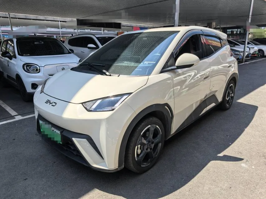 BYD 2024 Seagull Glory Edition 305km/h Freedom Edition Automatic Transmission