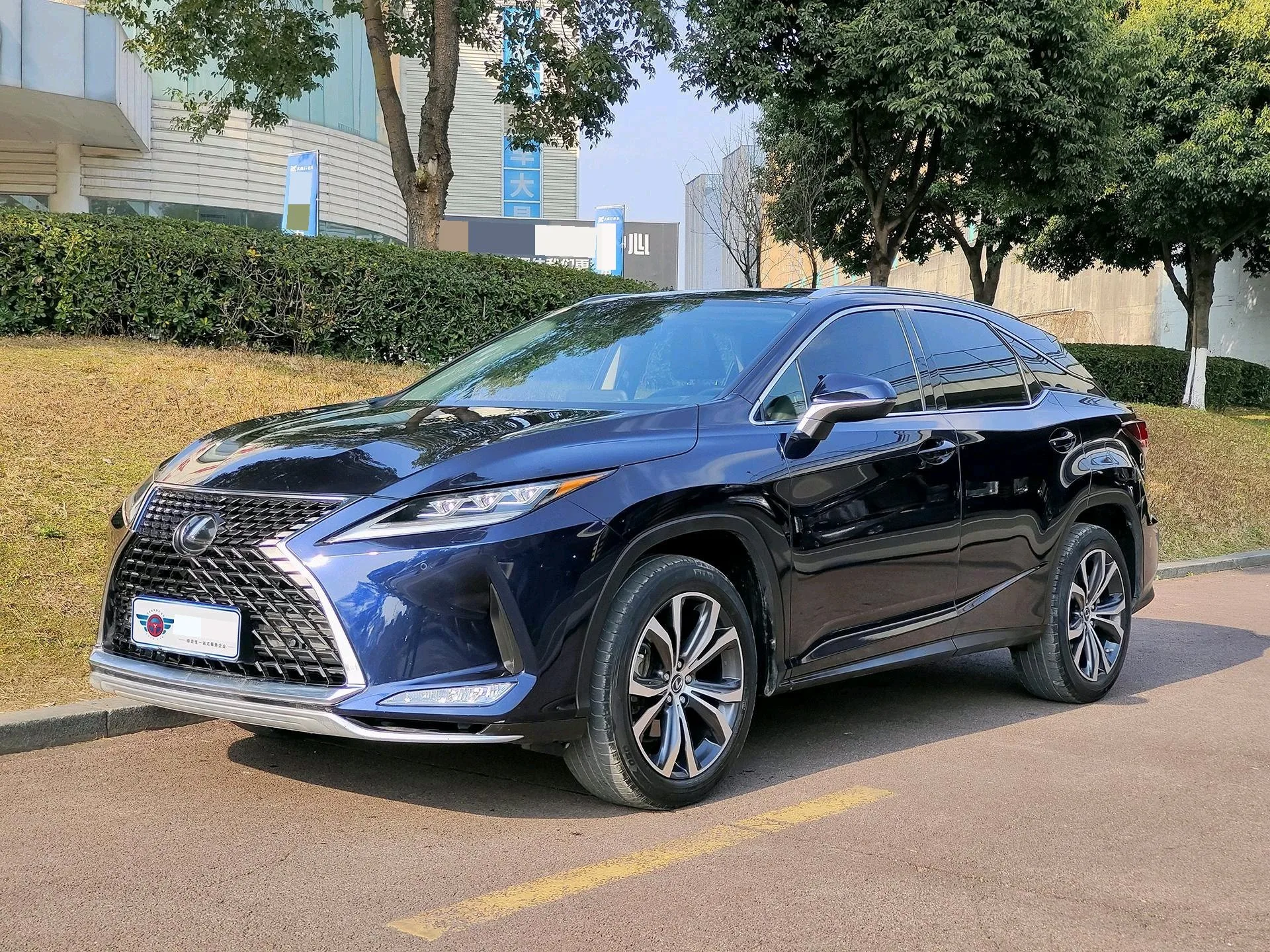 Lexus RX 2020 Facelift 300 AWD Elegant Edition