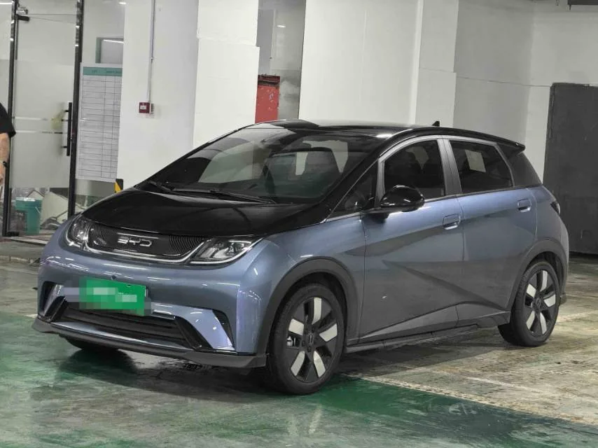 BYD 2023 Dolphin 401km Knight Edition Automatic