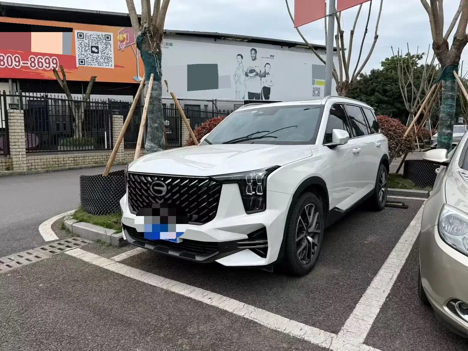 Trumpchi 2025 GS8 2.0TGDI Navigator Series 2WD Luxury 5-Seater Automatic