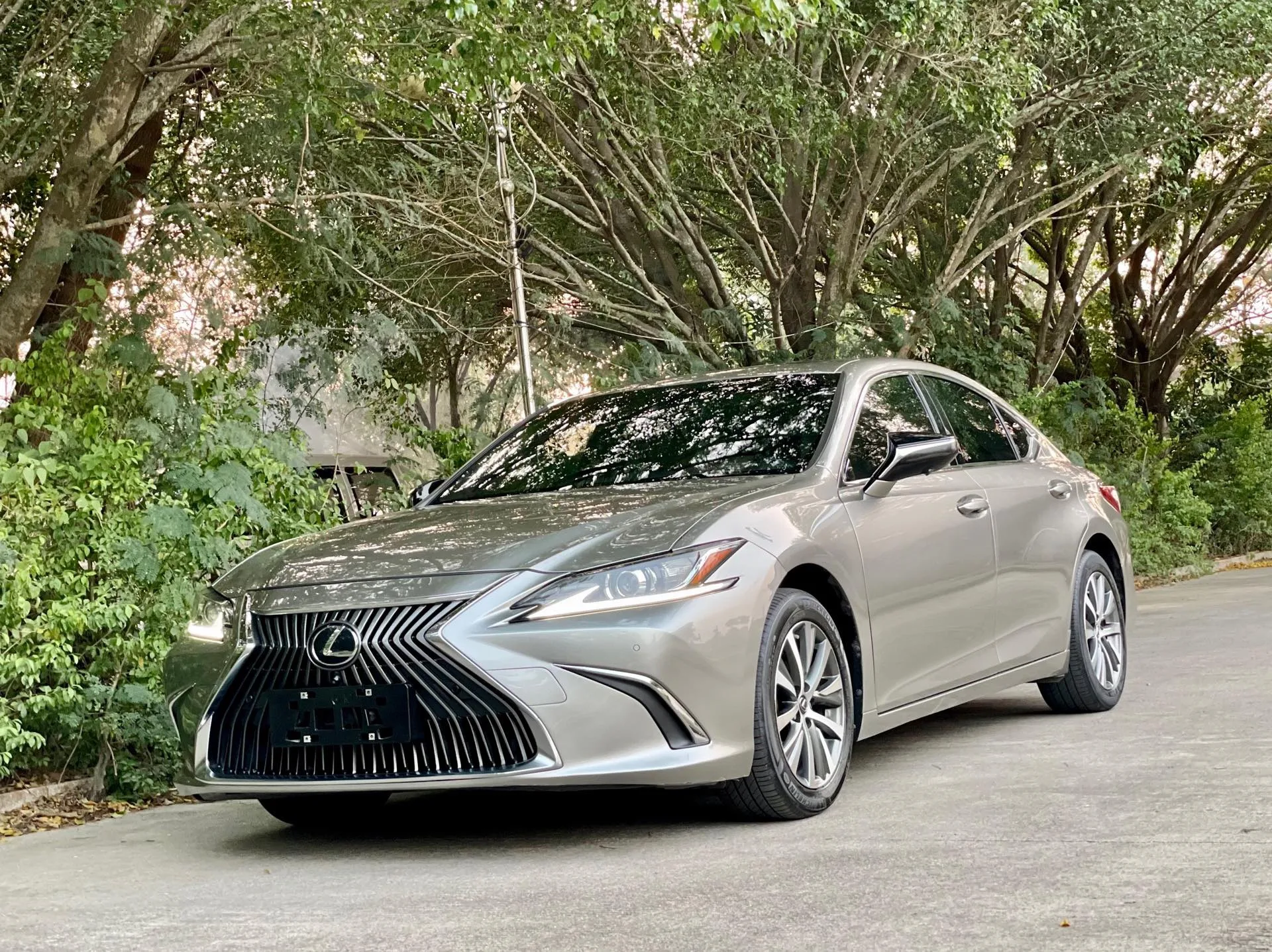 2020 Lexus ES 260 Excellence Edition