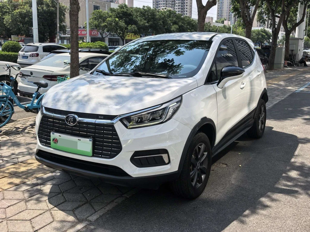 Yuan New Energy 2019 EV535 Smart Connect Trend Edition