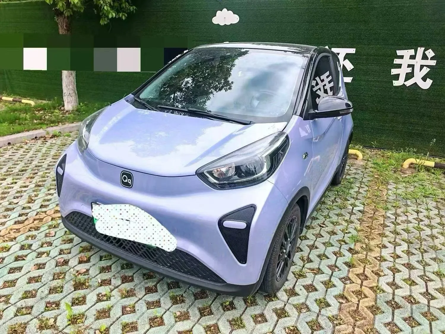 Little Ant 2024 Model, 321 km Range, "Only Love" Edition