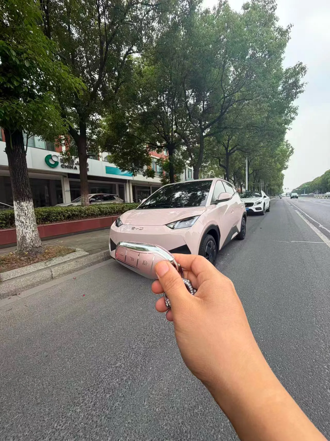 BYD 2025 Seagull 305km/h Freedom Edition Automatic