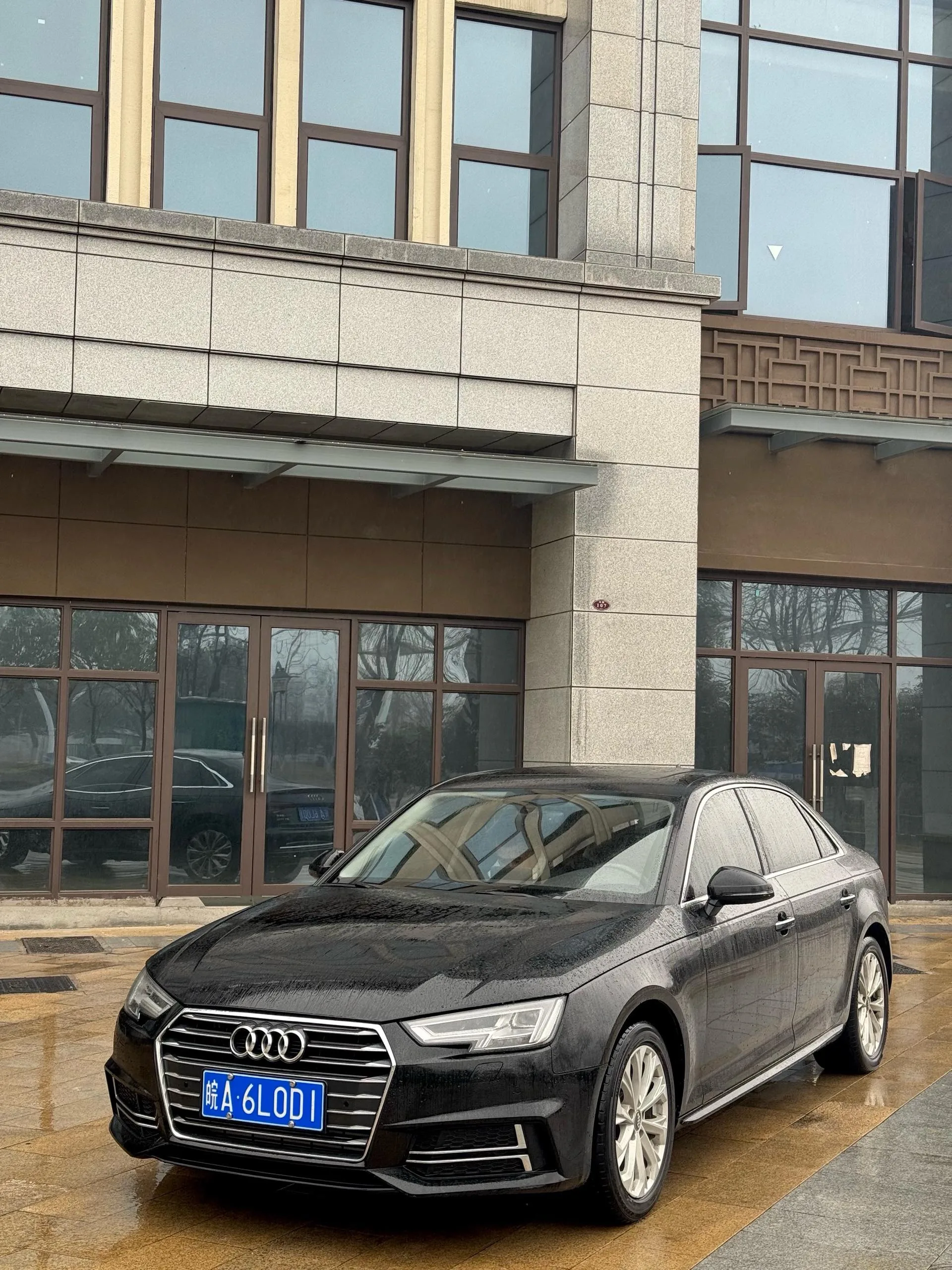 Audi A4L 2019 40 TFSI Progressive (China VI Emission Standard)