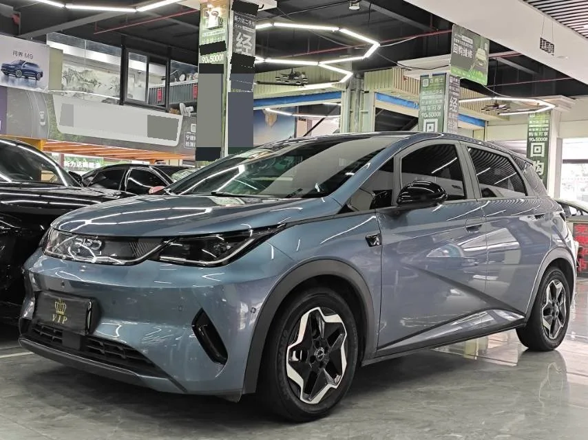 BYD 2025 Dolphin Smart Driving Edition 420km Freedom Edition Automatic Transmission