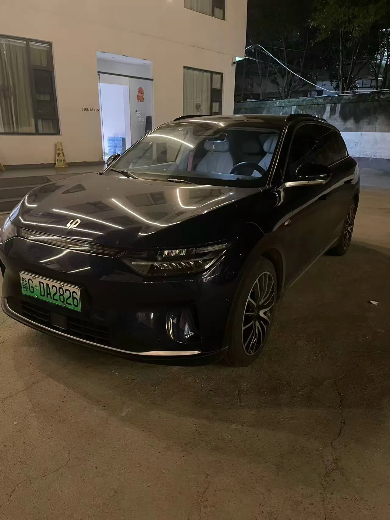 Leapmotor C11 2021 Luxury Edition