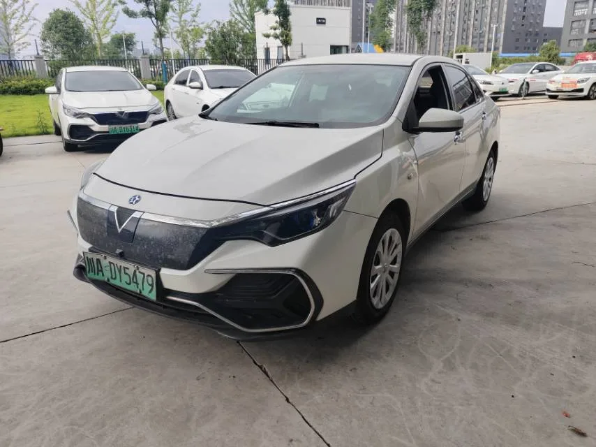 Venucia D60EV 2022 Model Year, Standard Range Smart Enjoy Edition