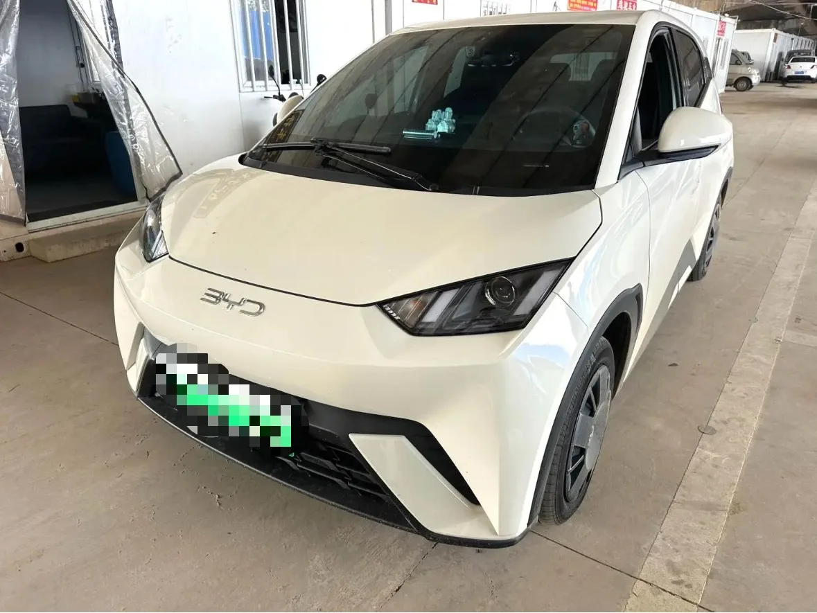 BYD 2025 Seagull 305km/h Vitality Edition Automatic