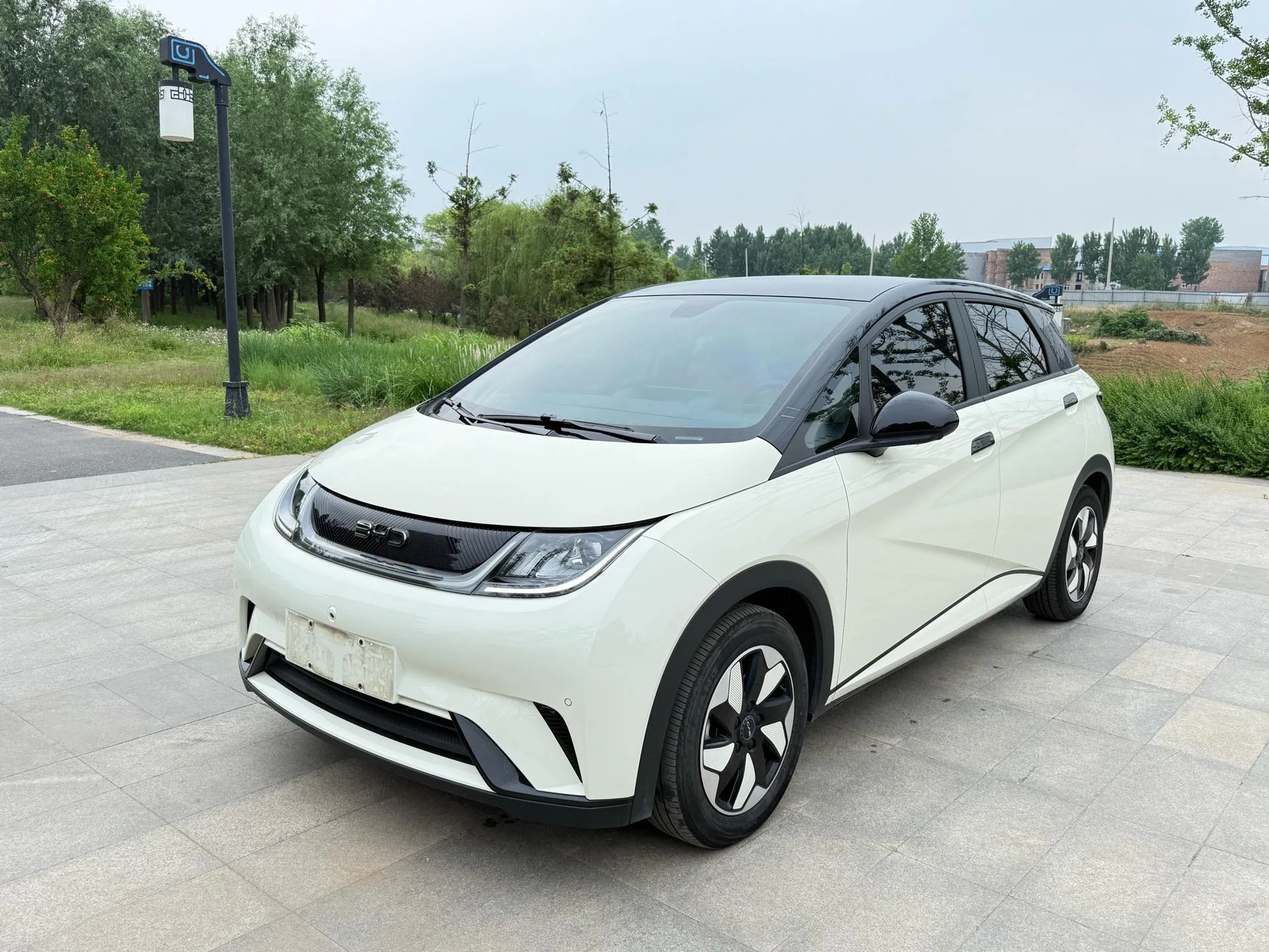 BYD 2024 Dolphin Glory Edition 420km/h Fashion Edition Automatic