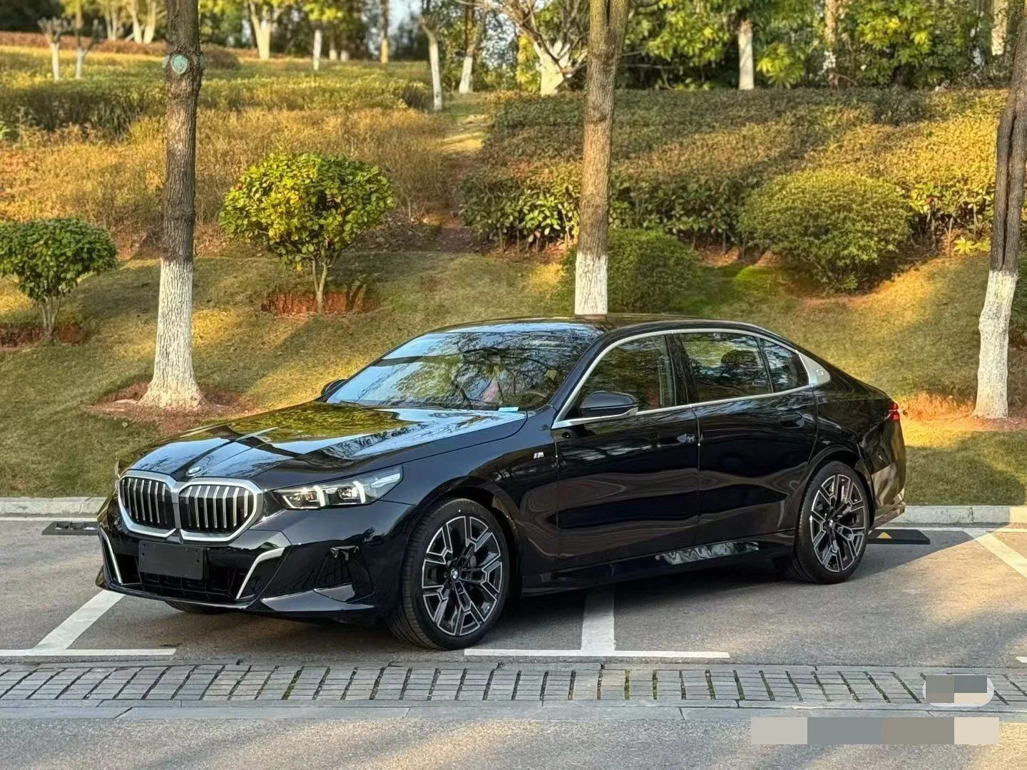 2025 BMW 5 Series 530Li 48V 2.0T Luxury M Sport Package Automatic