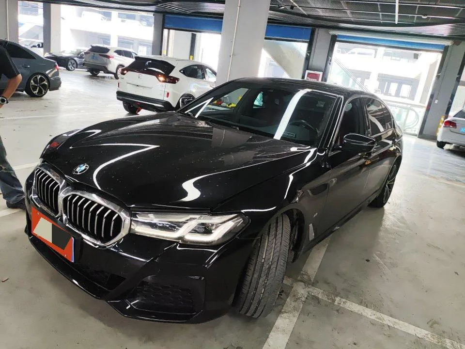 BMW 5 Series 2021 530Li Leading Luxury Package