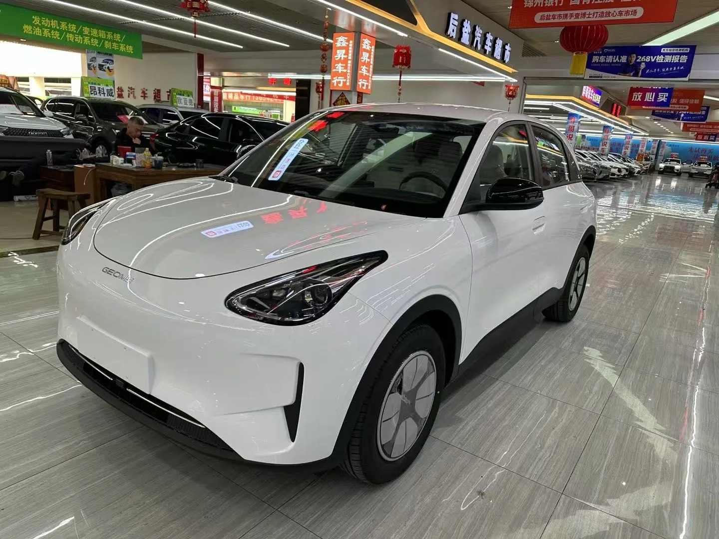 Star Wish 2025 310km Youth Edition