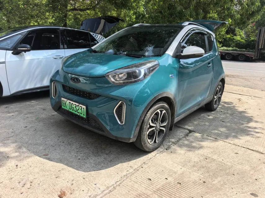 Ant 2021 Facelift Model, 150,000-Yuan "Ant Fans" Edition, New Ant Xuan Edition, Lithium Iron Phosphate