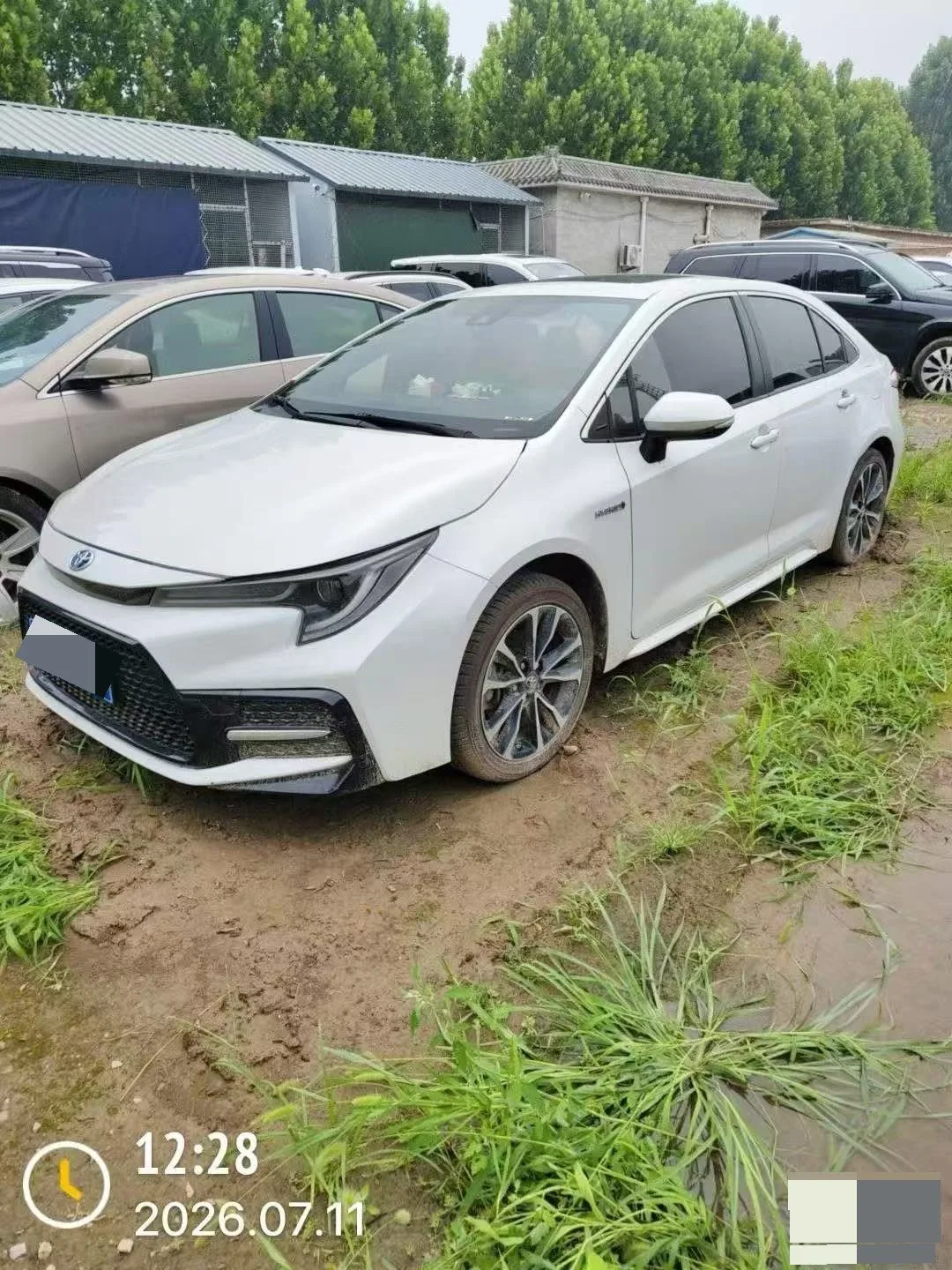 2019 Corolla Hybrid 1.8H E-CVT Sport Edition (China V)