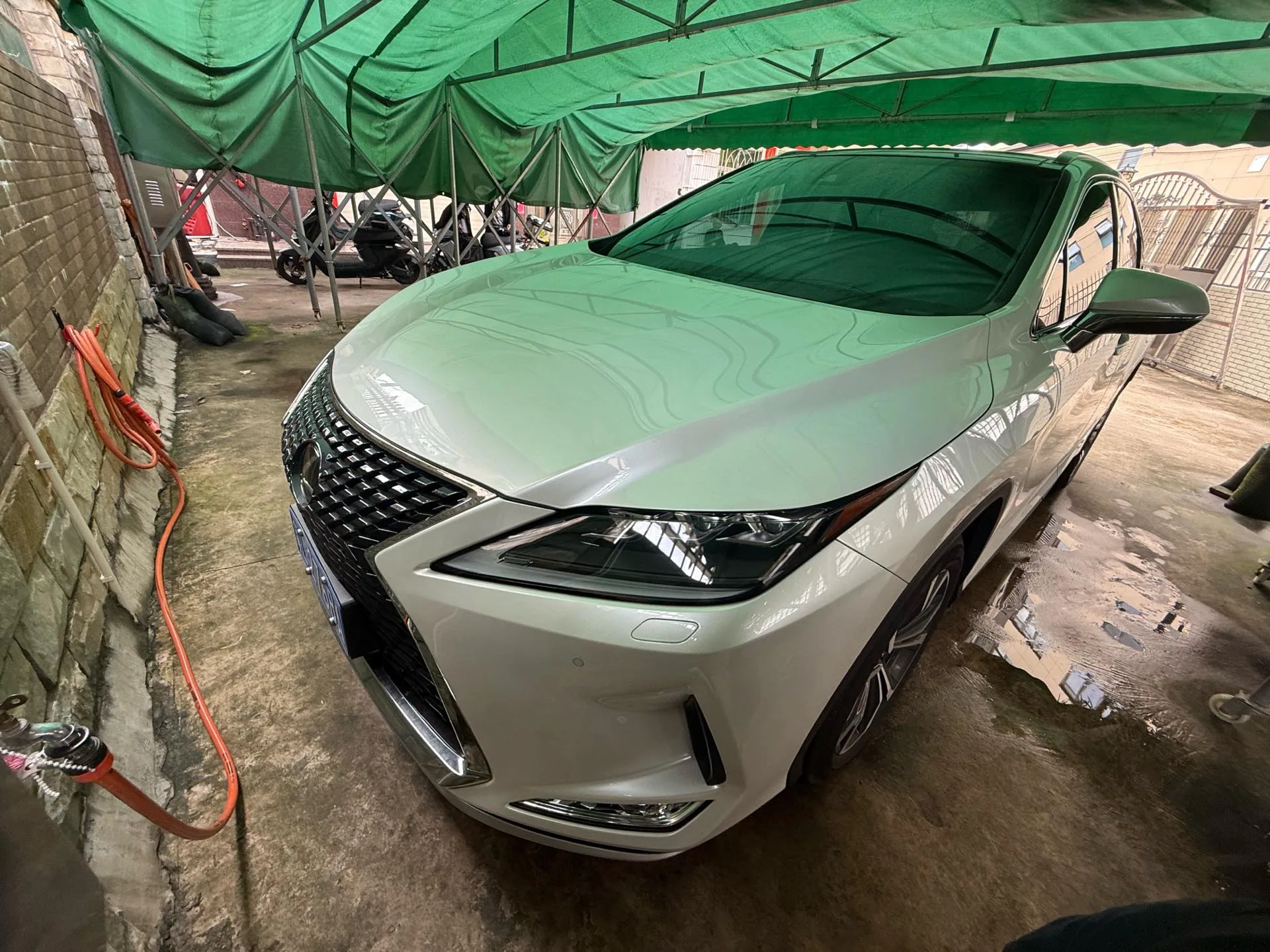 Lexus RX 2020 300 AWD Elegant Edition (China V Emission Standard)