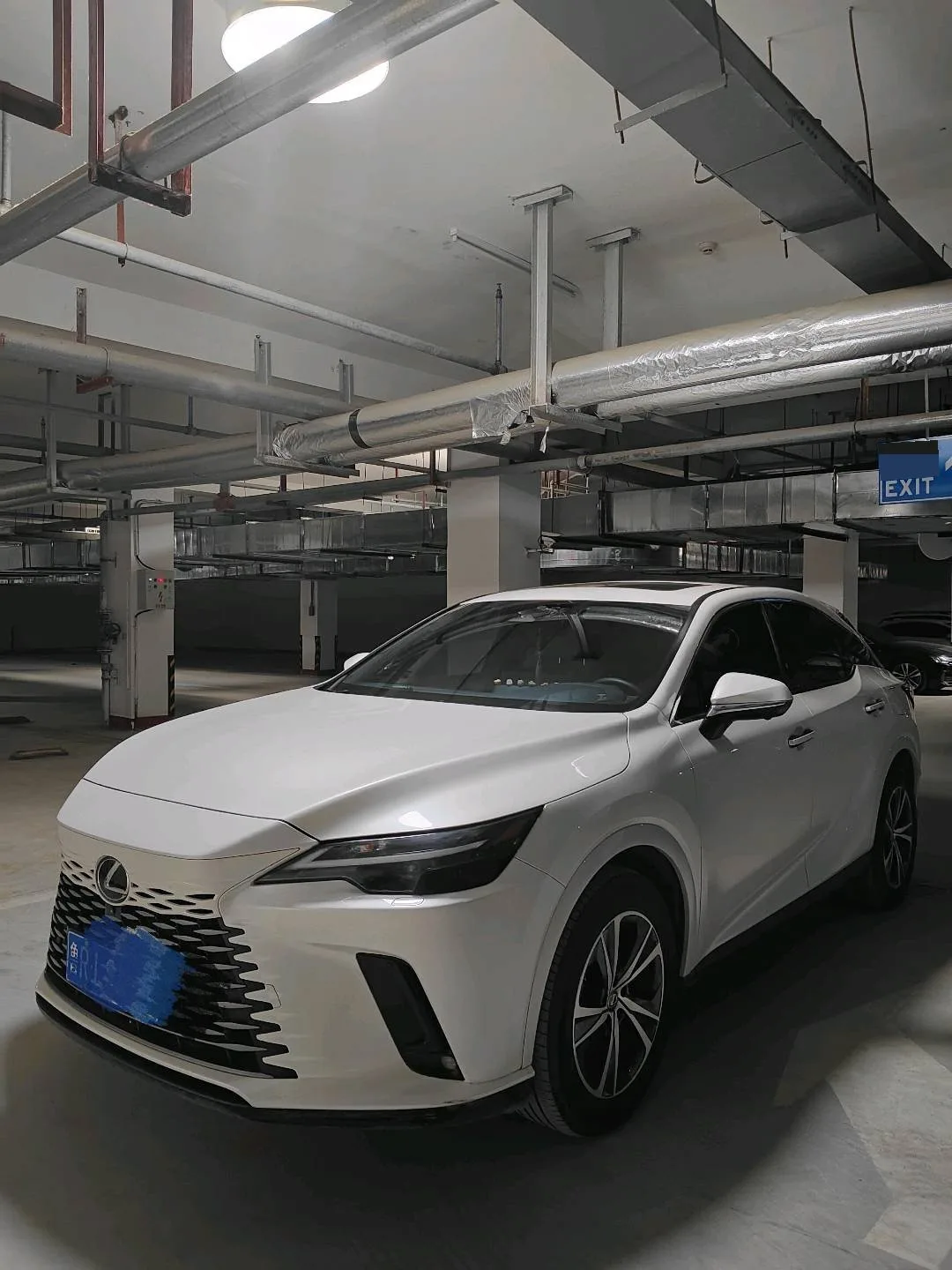 Lexus RX 2023 350h 2WD Enjoy Edition