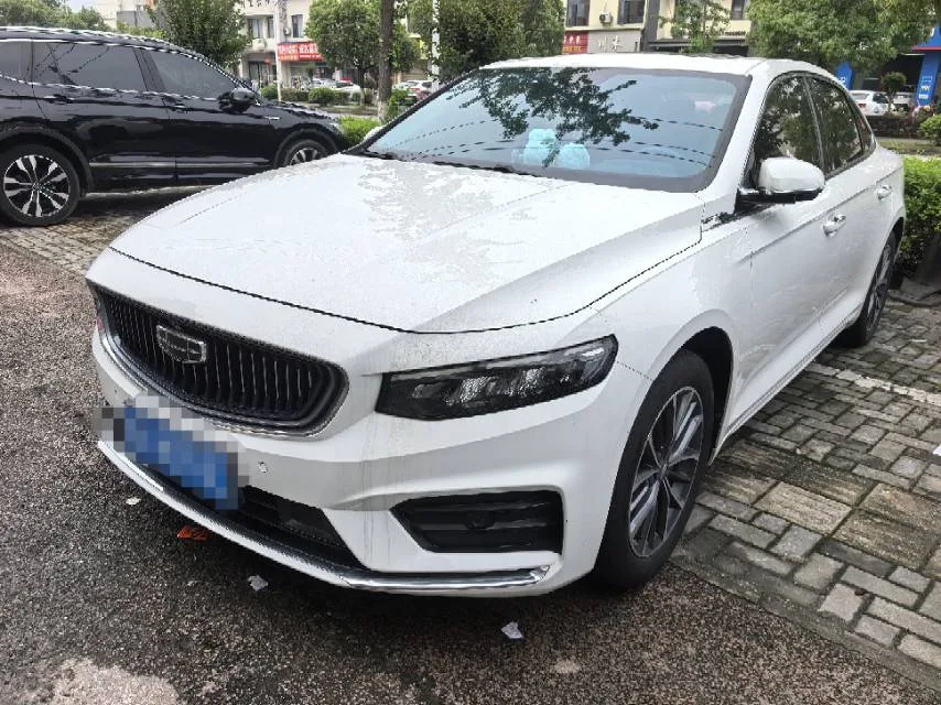 Xingrui 2021 2.0TD Luxury