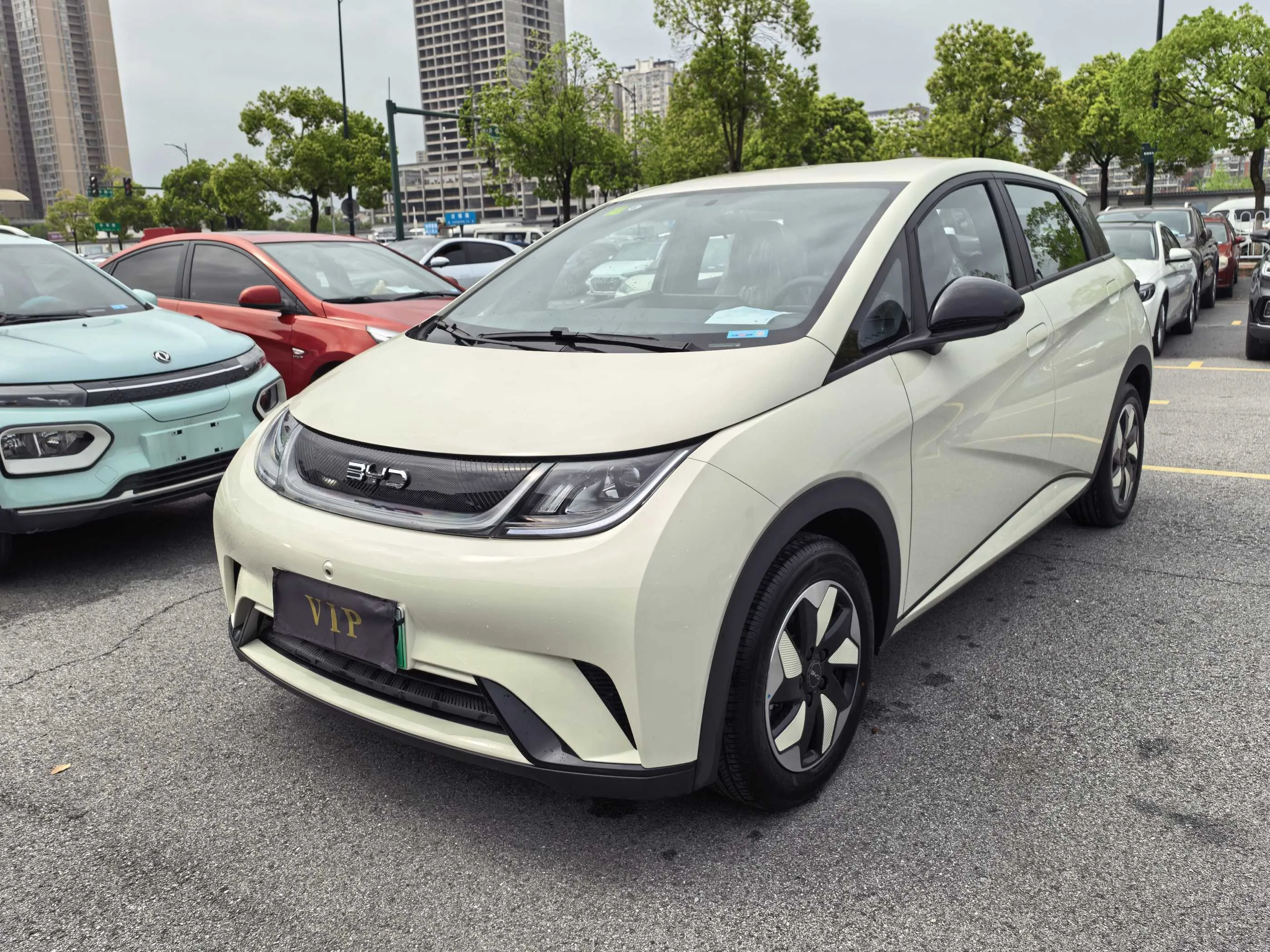 BYD 2025 Dolphin 420km Freedom Edition Automatic