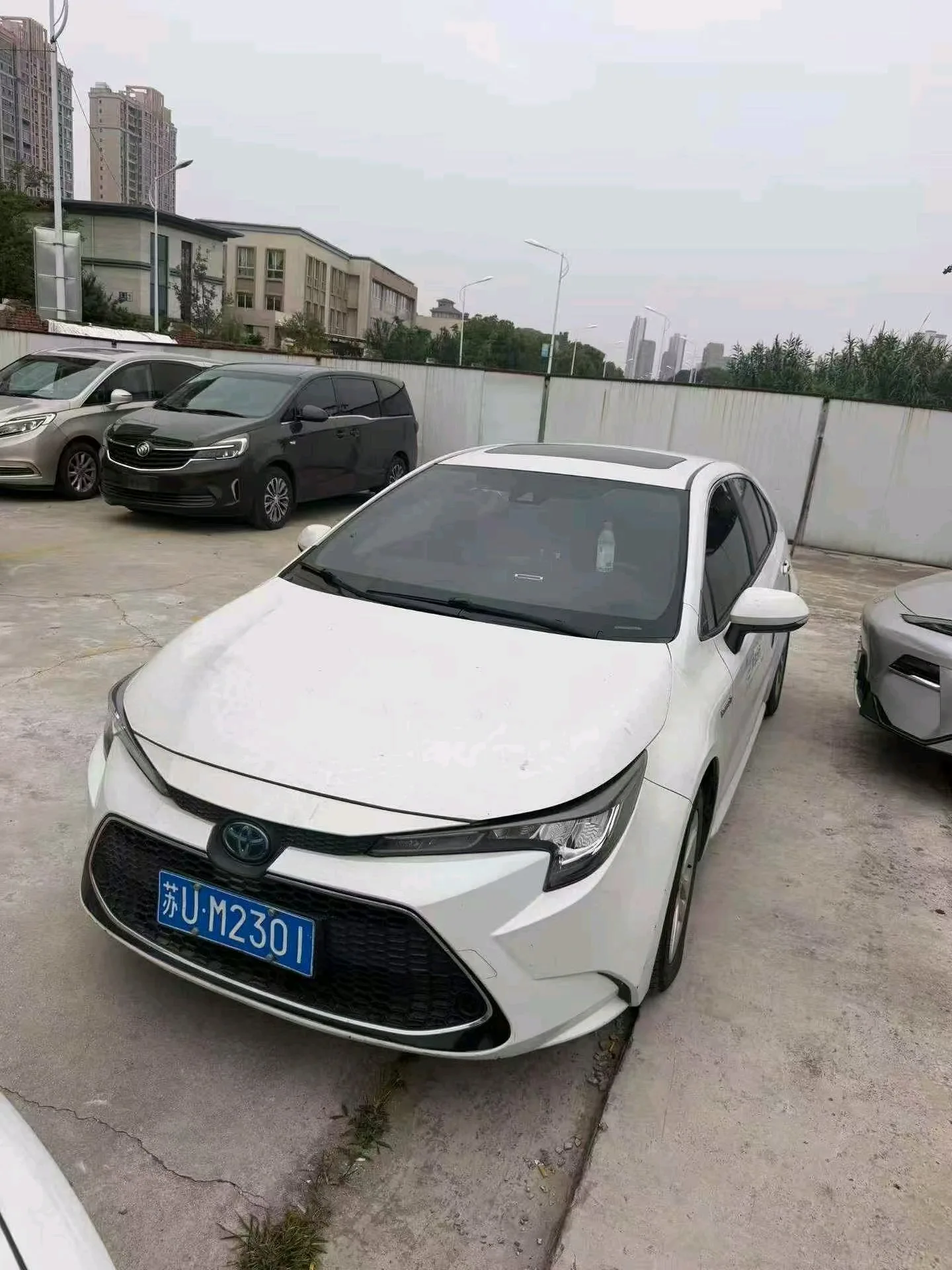 Levin 2021 Hybrid 1.8H E-CVT Luxury Edition