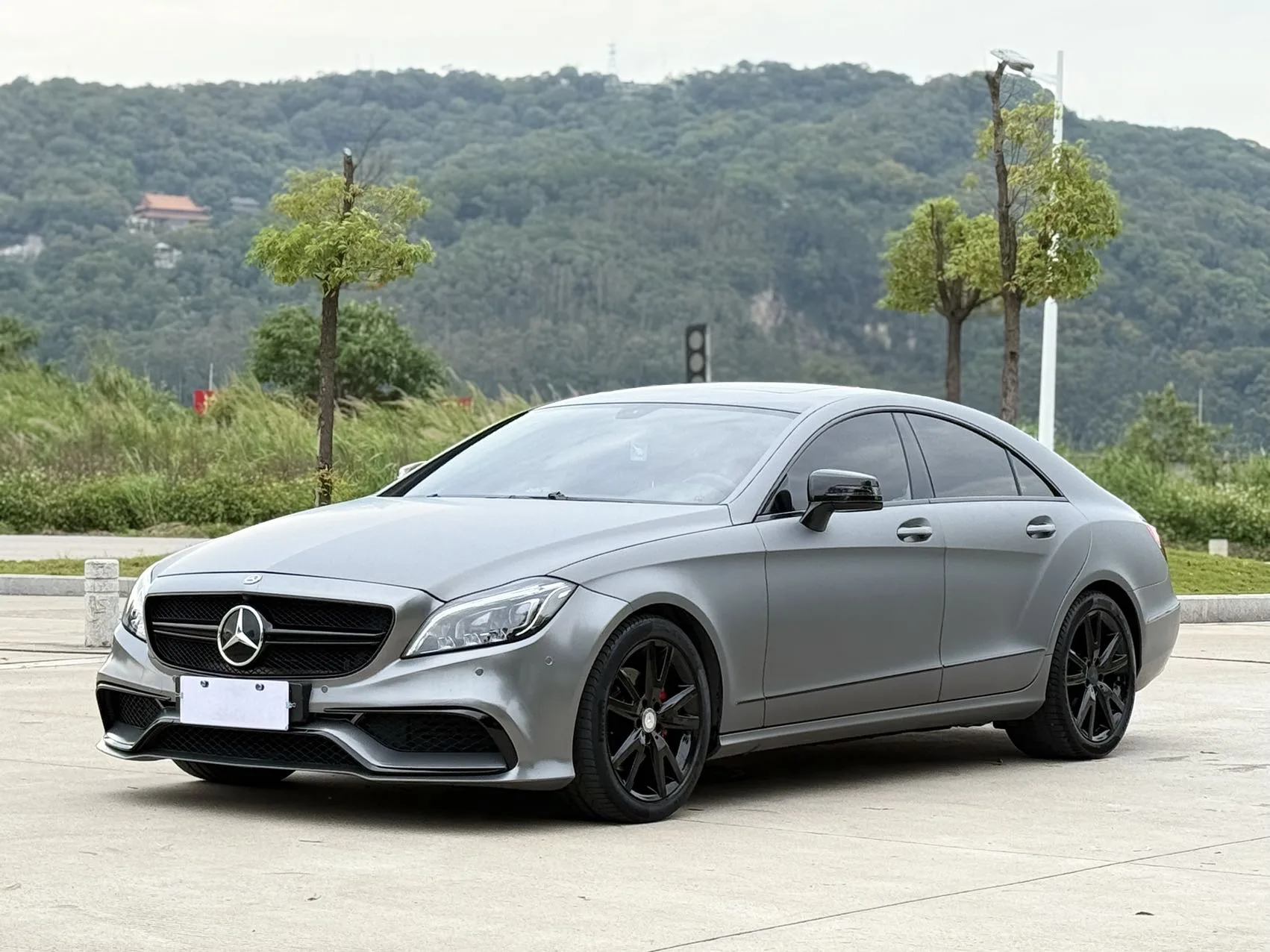 2012 Mercedes-Benz CLS 300 CGI