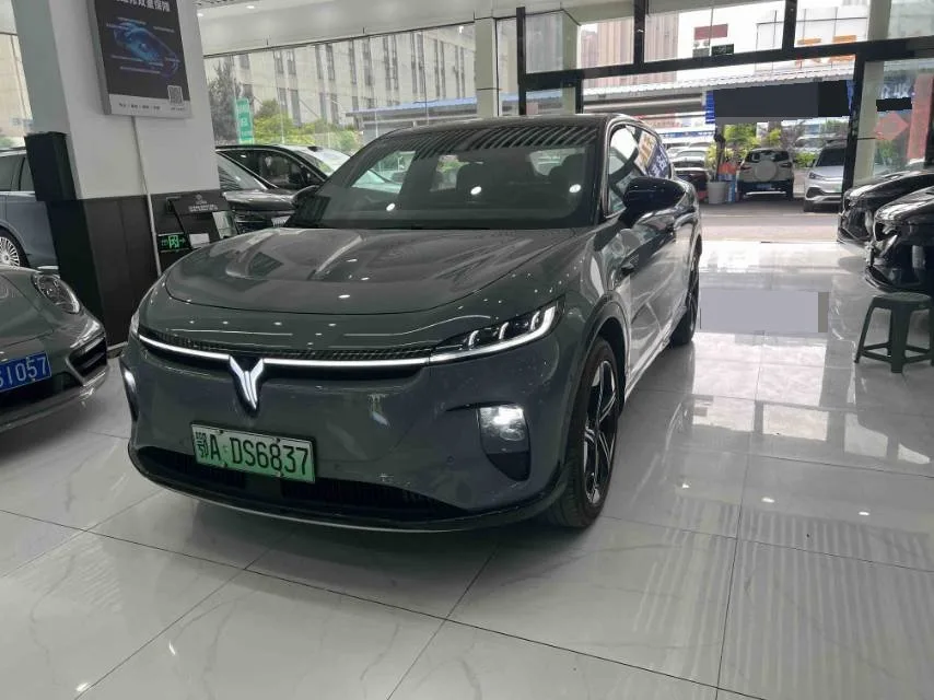 Lan图 Zhiyin 2024 Model, Single-Motor High-Power, Ternary Lithium