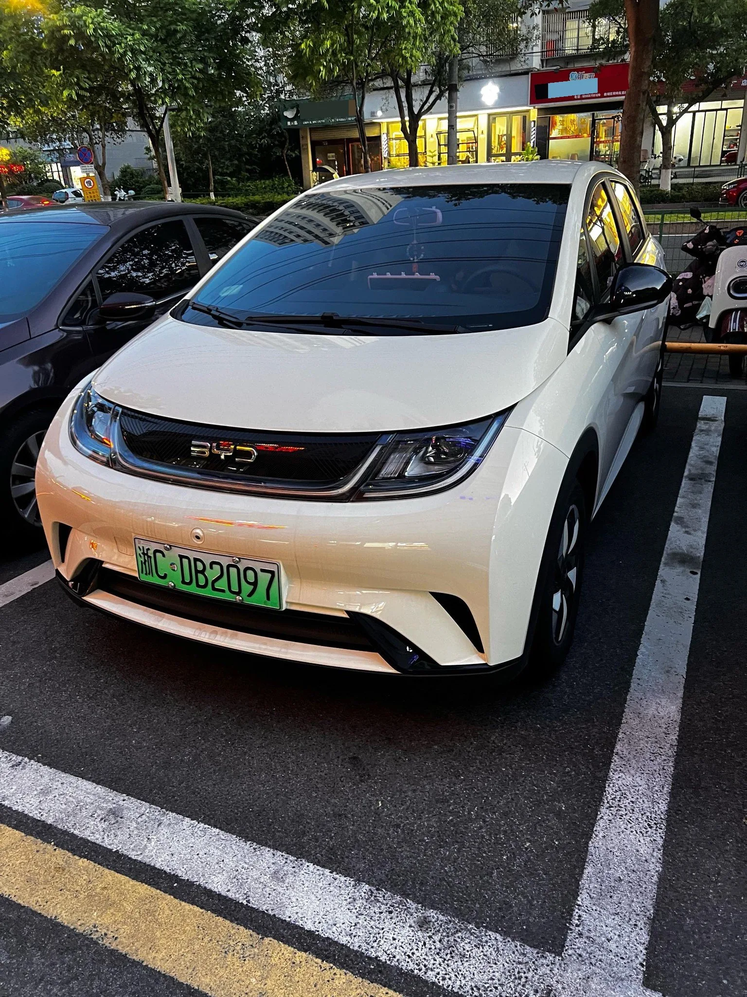 BYD 2025 Dolphin 420km Vitality Edition Automatic