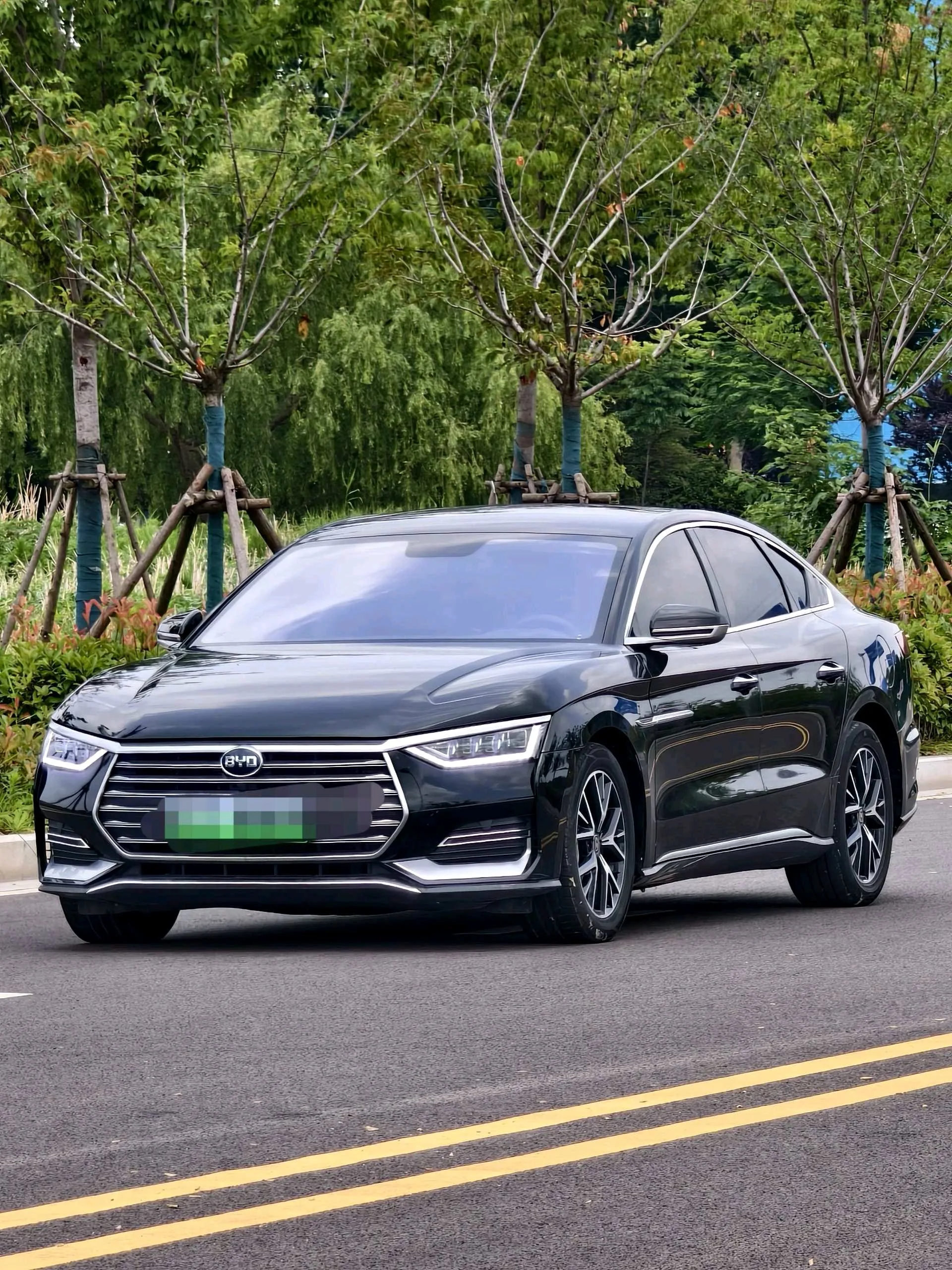 Han 2021 EV Standard Range Luxury Edition