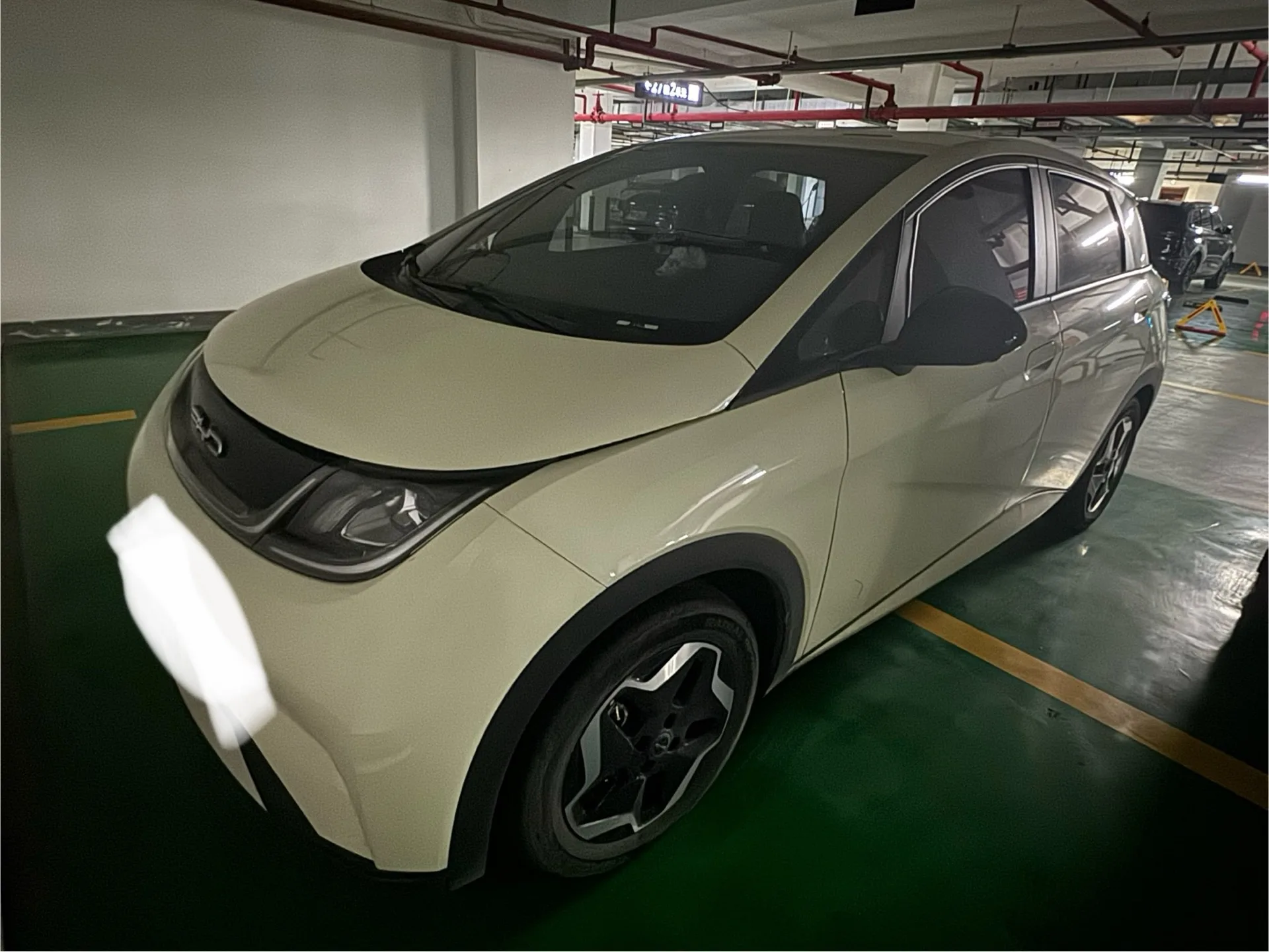 Dolphin 2021 405km Freedom Edition
