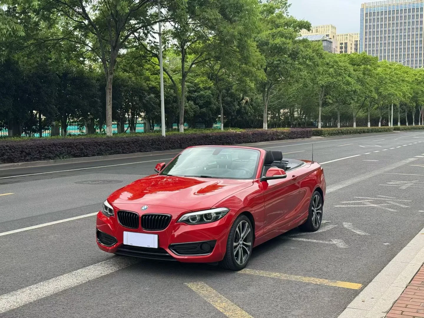 2019 BMW 2 Series 225i Convertible Coupe with Sport Design Package