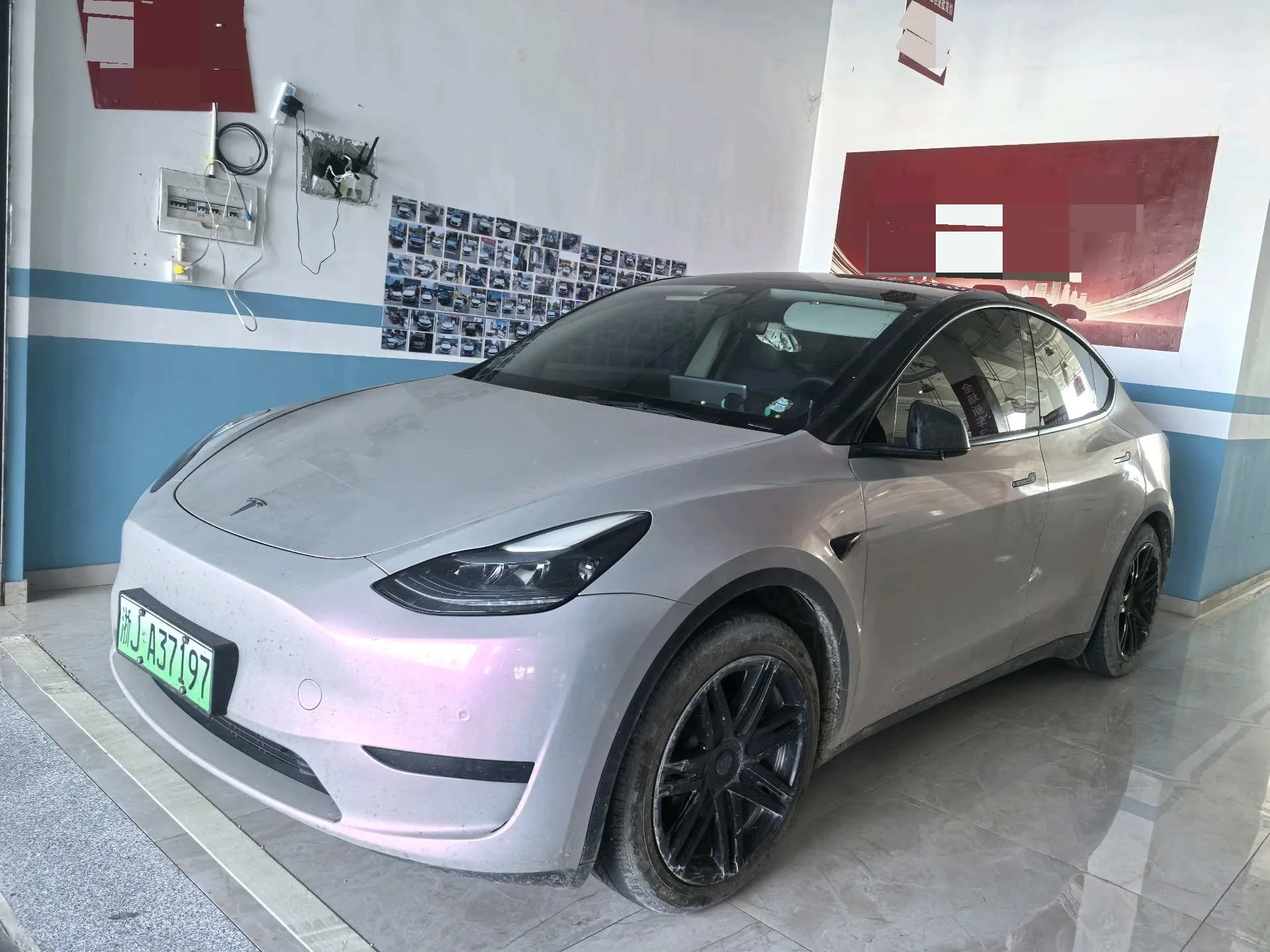  Model Y