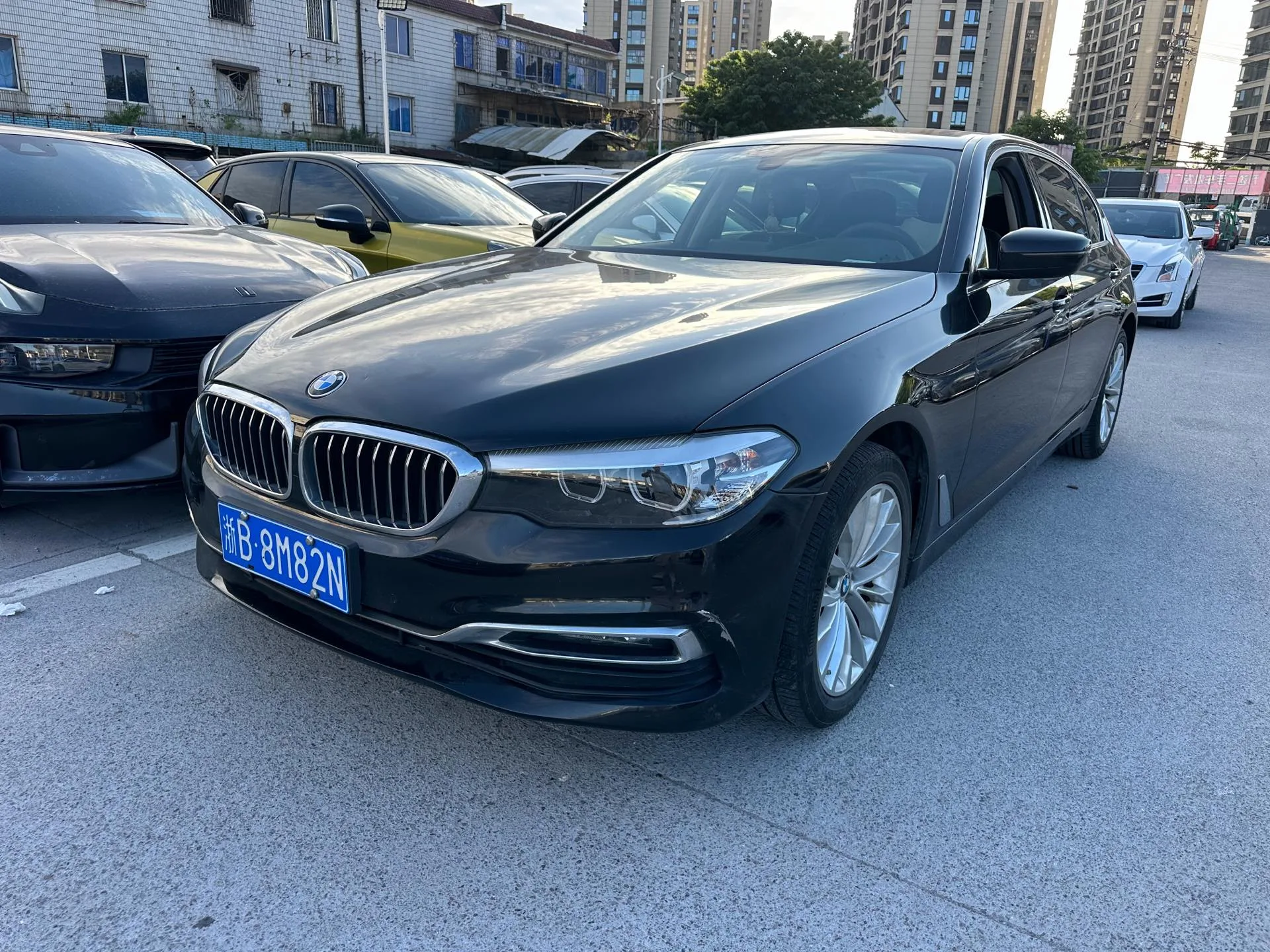 BMW 5 Series 2019 530Li Leading Luxury Package