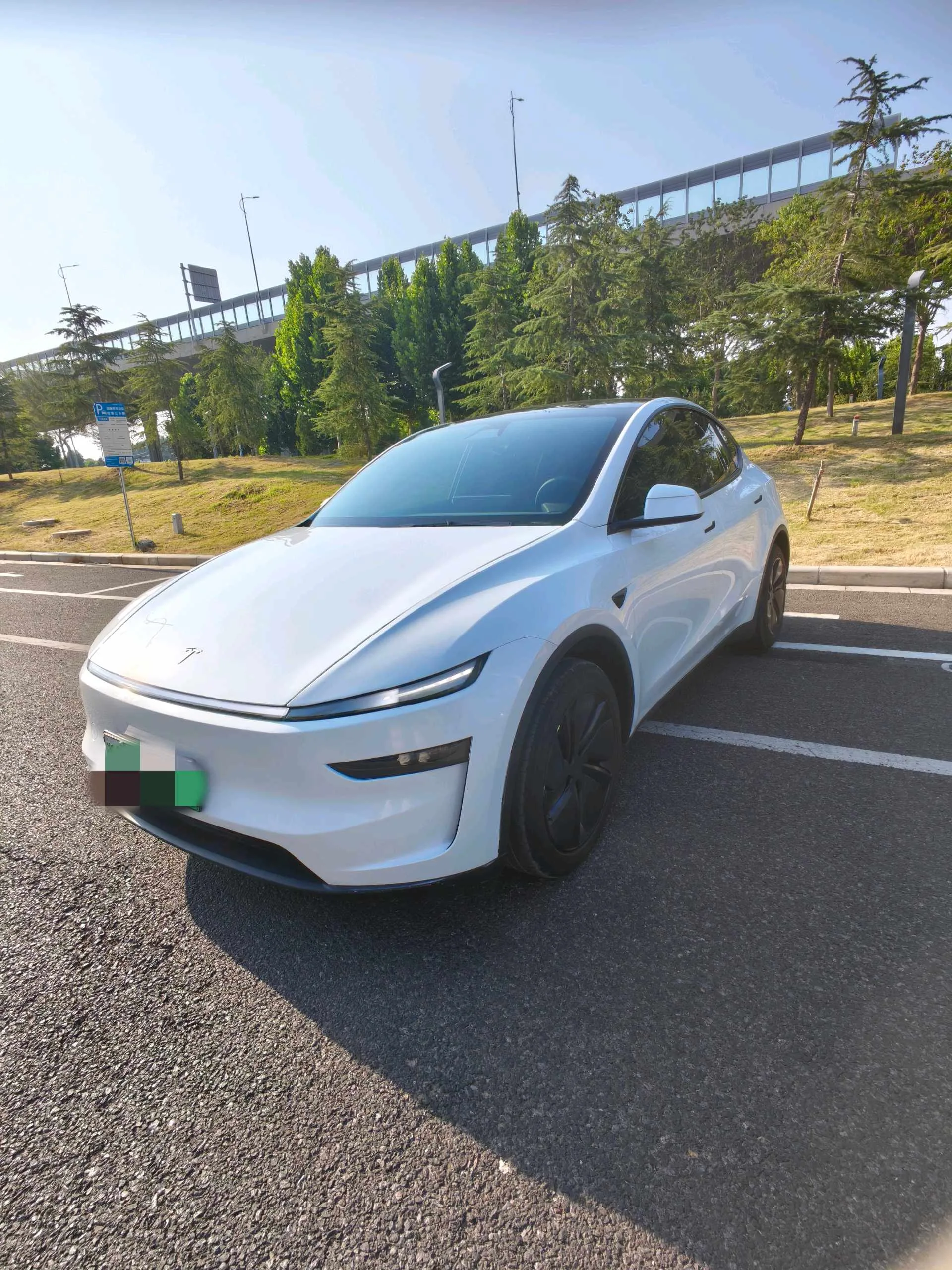 Tesla 2025 Model Y Rear-Wheel Drive Automatic