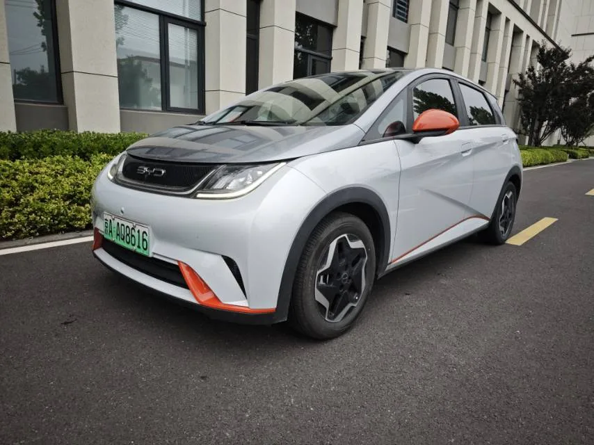 Dolphin 2021 405km Freedom Edition