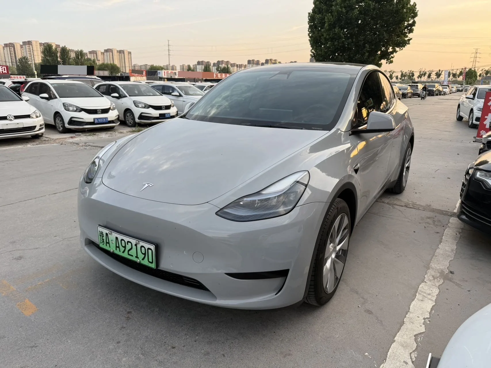 Model Y 2022 Rear-Wheel Drive