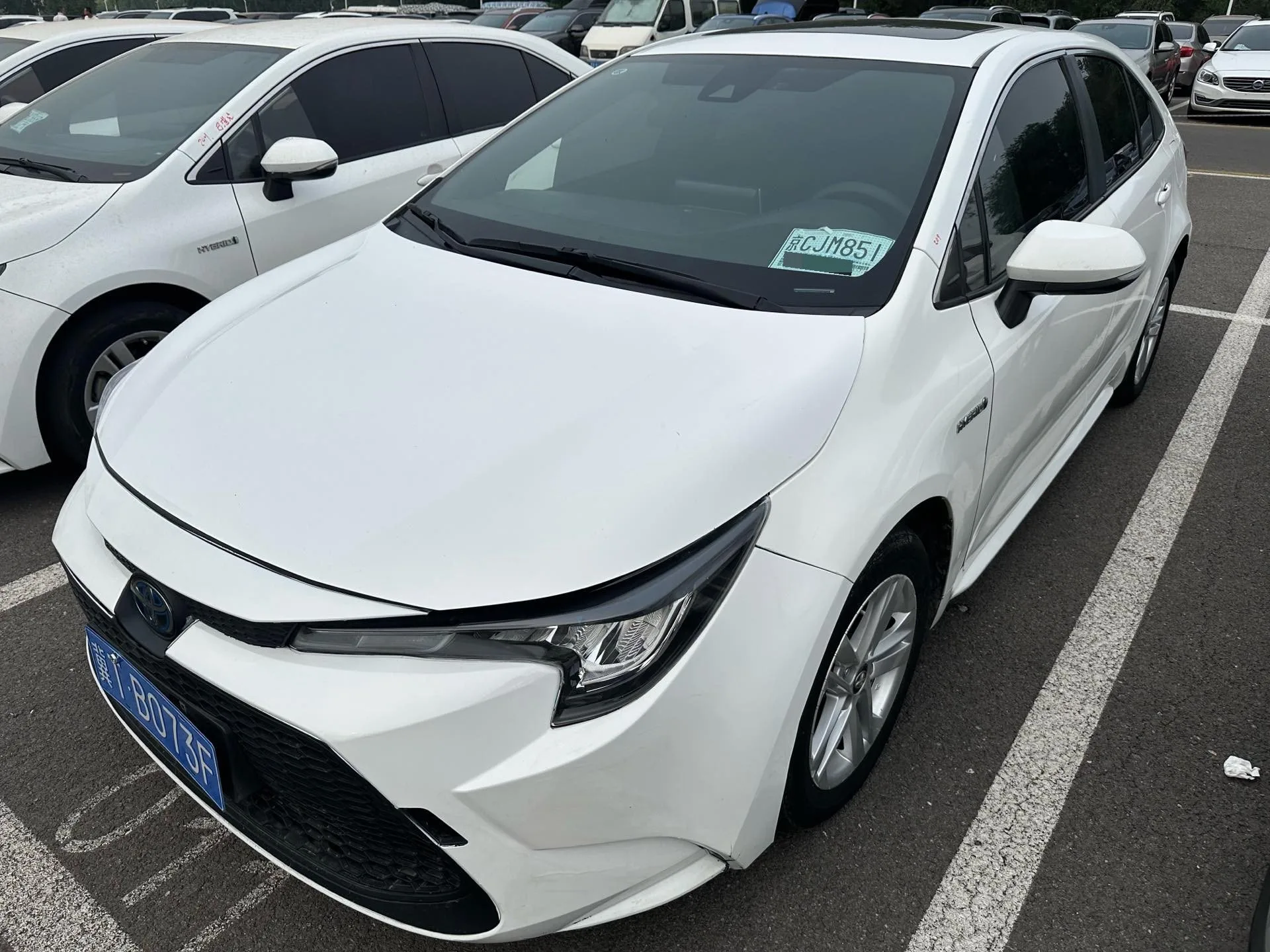 Levin 2022 Hybrid 1.8H E-CVT Luxury Edition