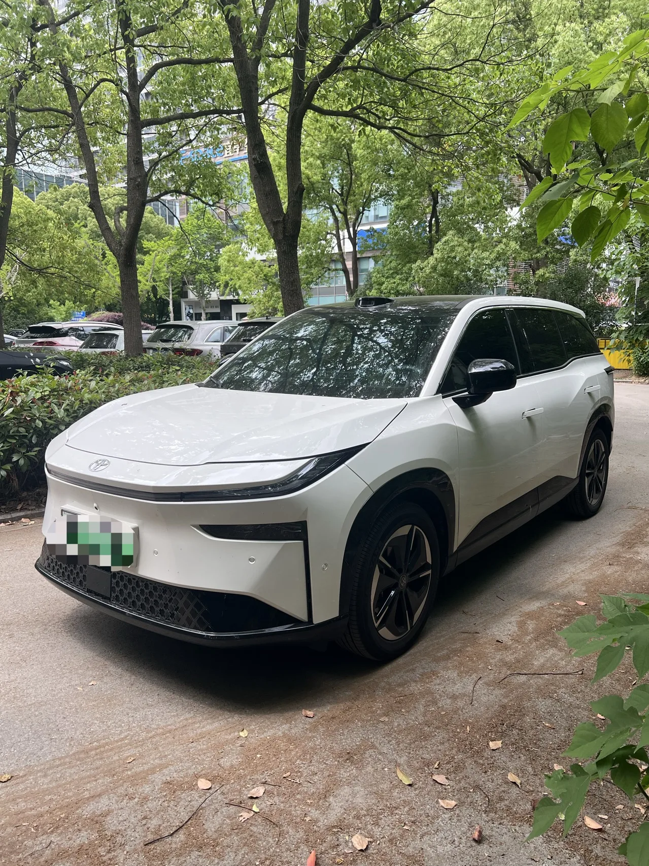 2025 Toyota Platina 3X 520 Pro Advanced Intelligent Driving Edition (Automatic Transmission)