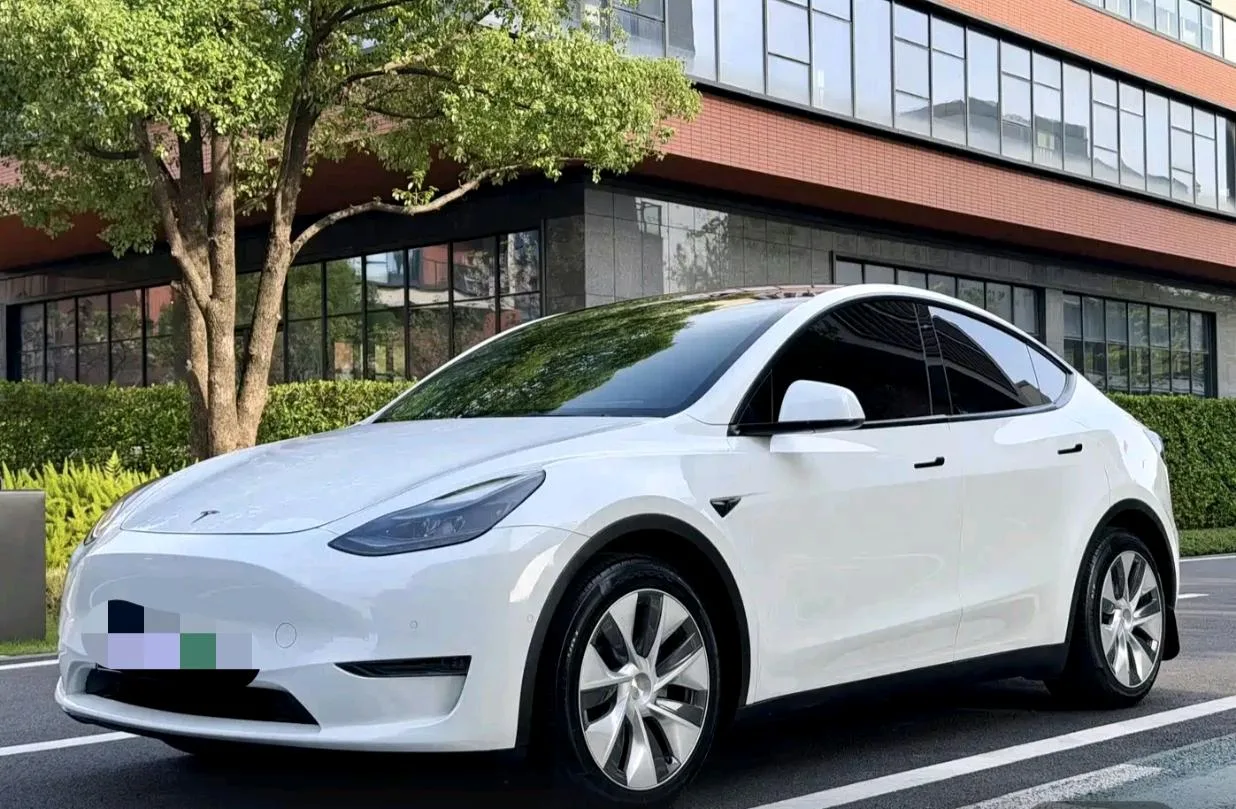 Model Y 2021 Standard Range Rear-Wheel Drive
