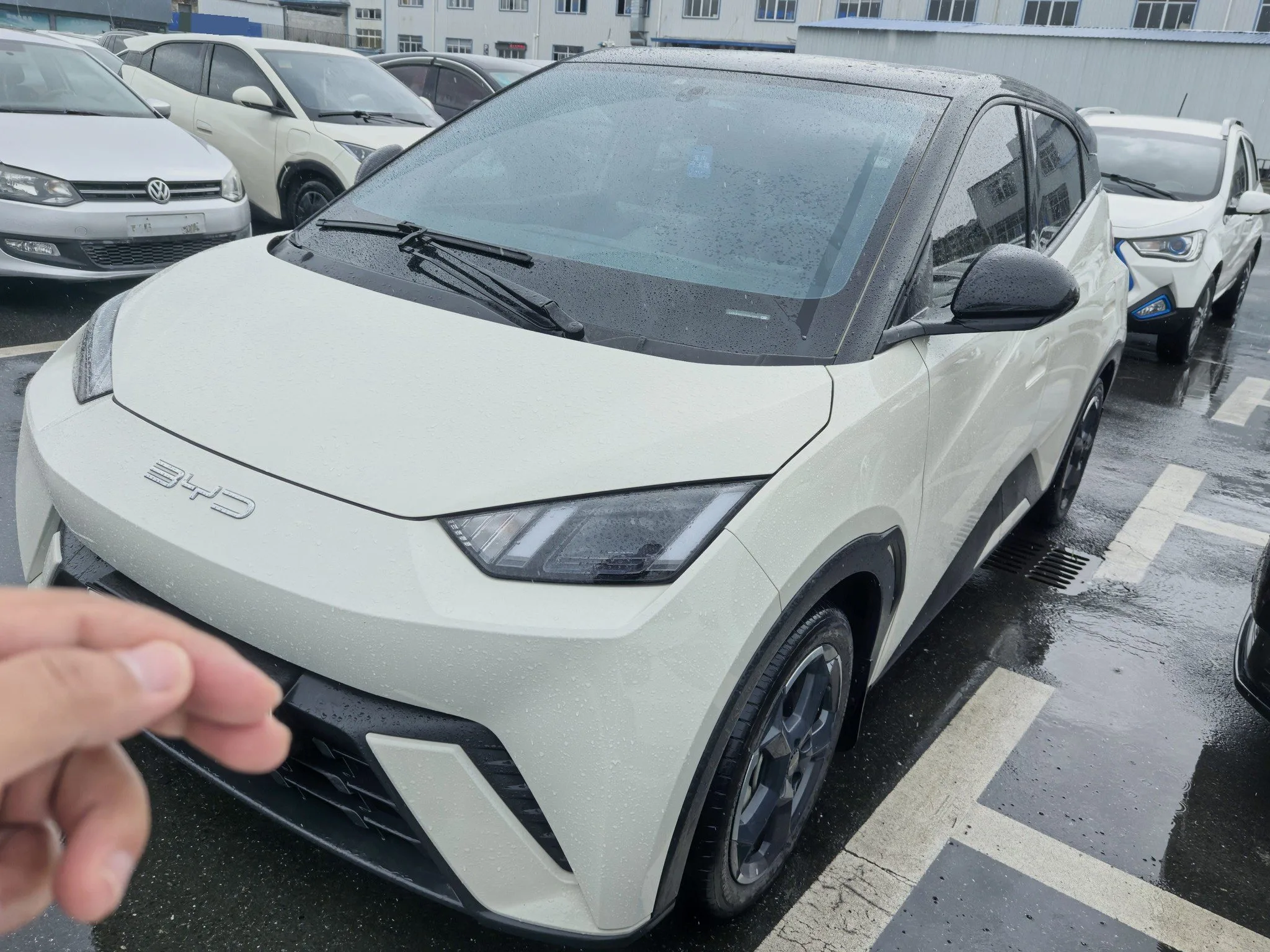 BYD 2023 Seagull Freedom Edition Automatic