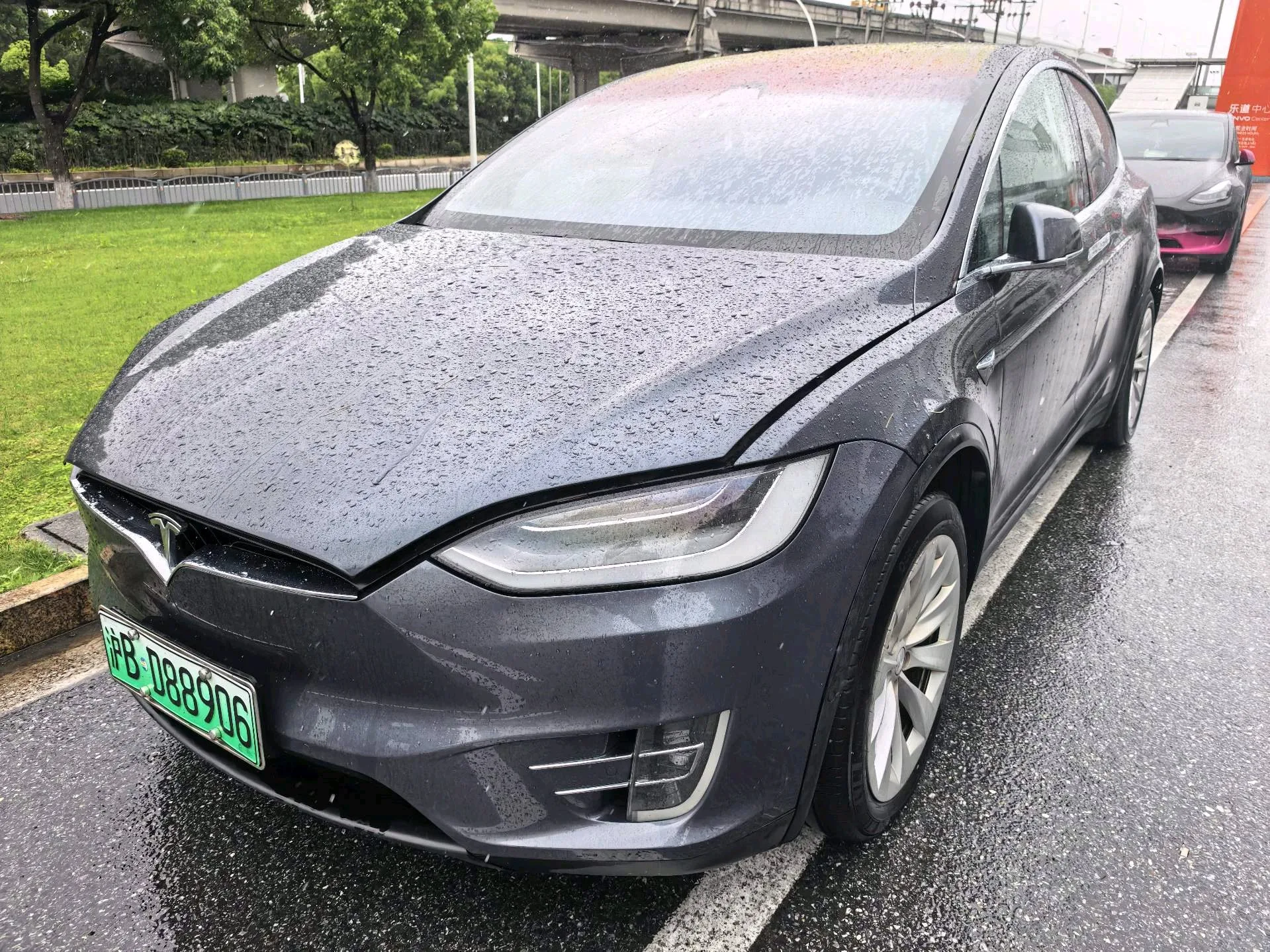 2017 Model X Model X 100D Long Range
