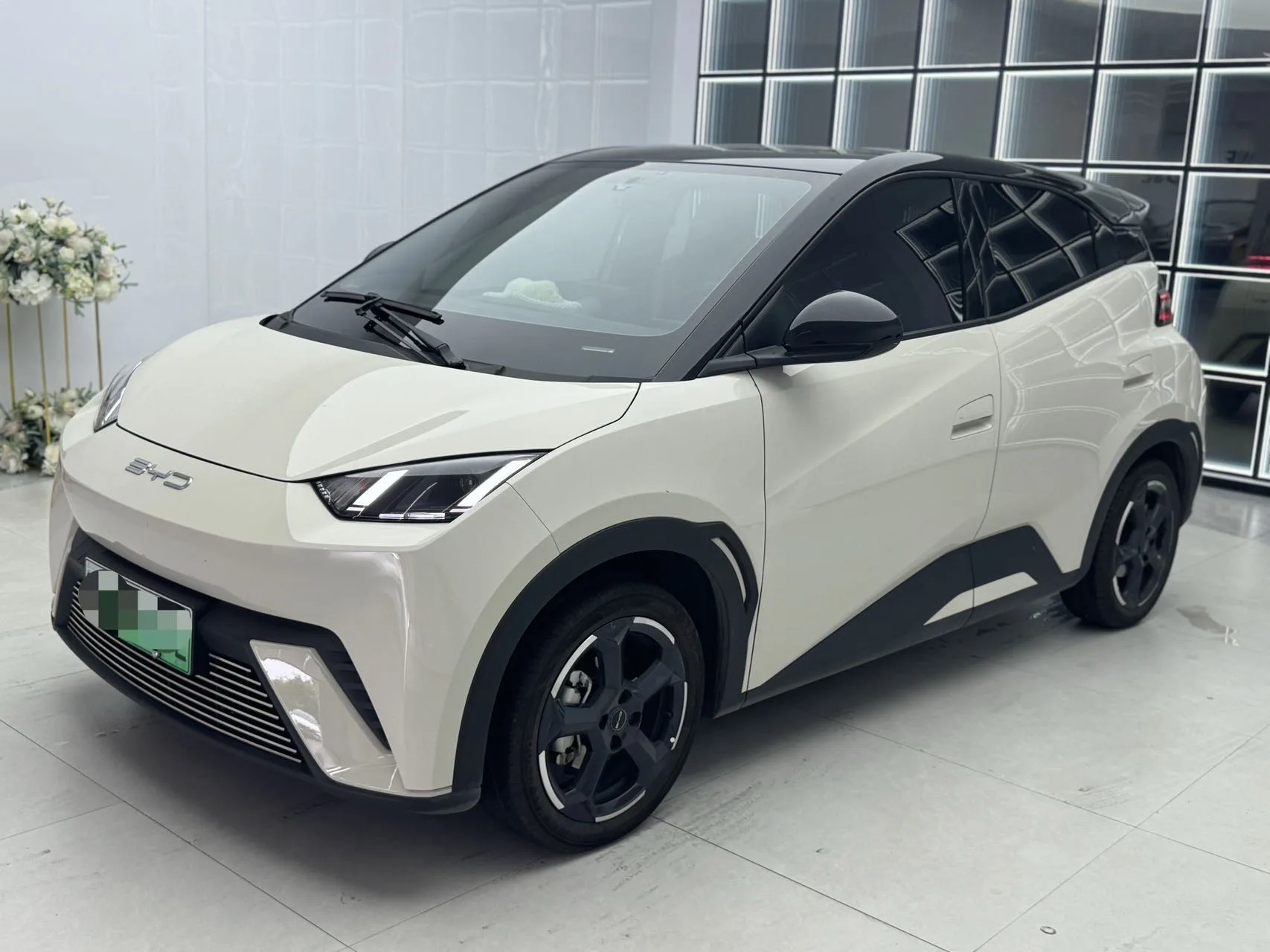 BYD 2023 Seagull Freedom Edition Automatic