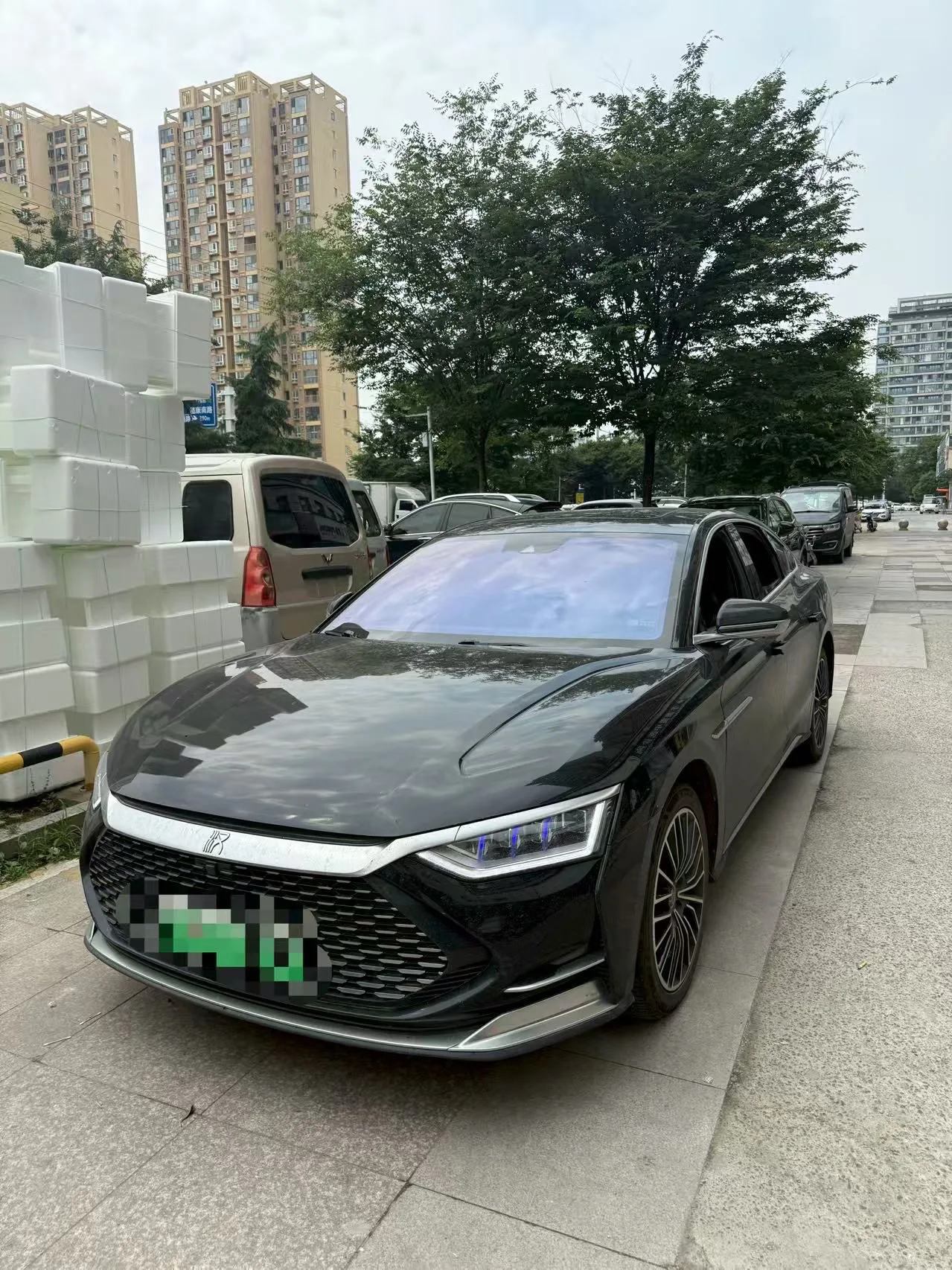 2020 Han DM 4WD Performance Premium Edition