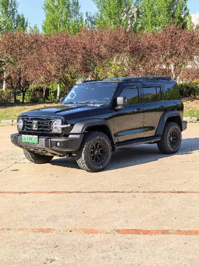 Tank 300 New Energy 2024 Model Hi4-T
