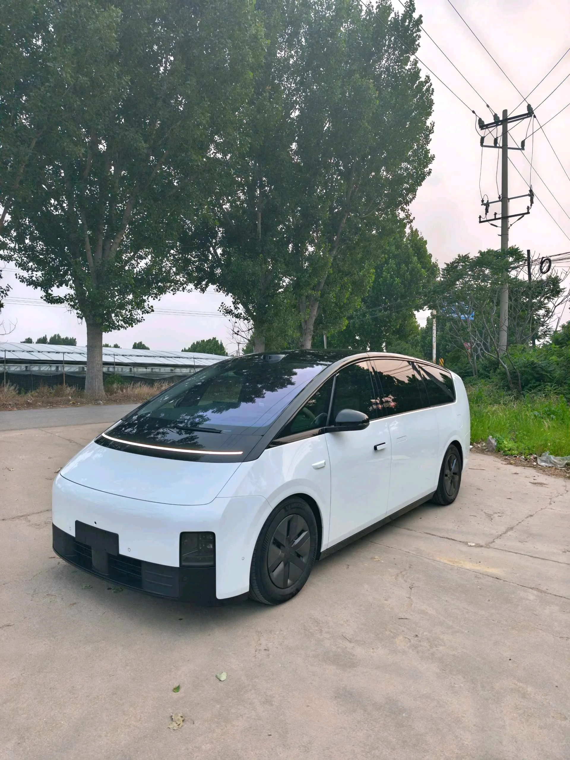 Li Auto 2025 MEGA Home Family Special Edition Automatic