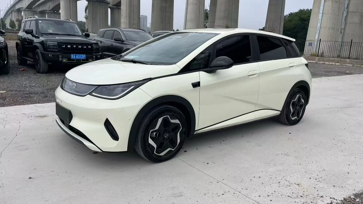 BYD 2025 Dolphin Smart Driving Edition 420km Freedom Edition Automatic Transmission