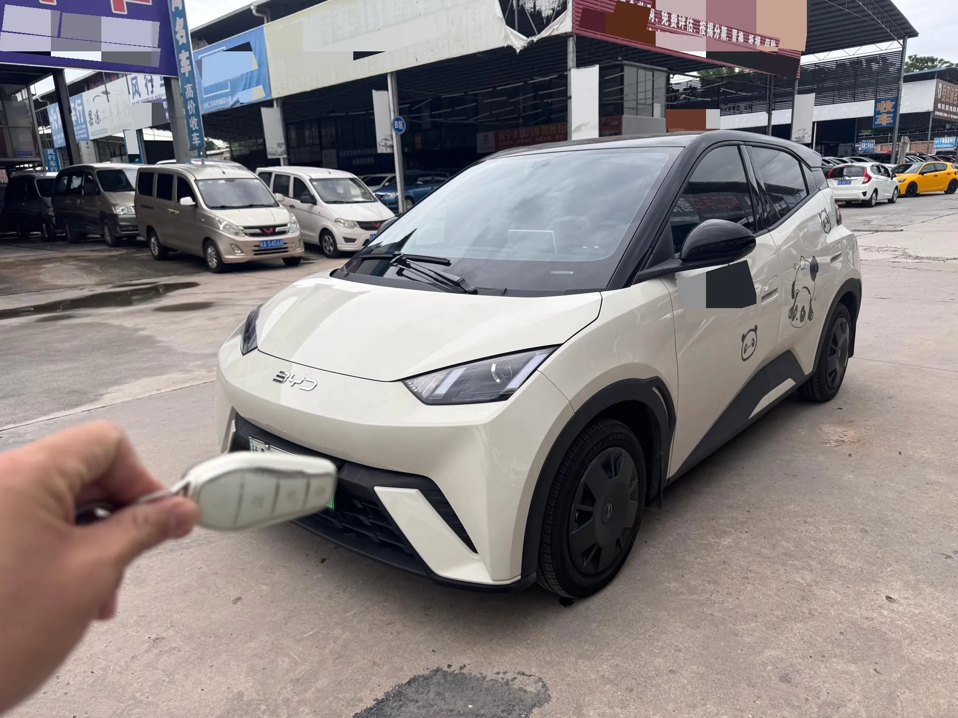 BYD 2023 Seagull Vitality Edition Automatic